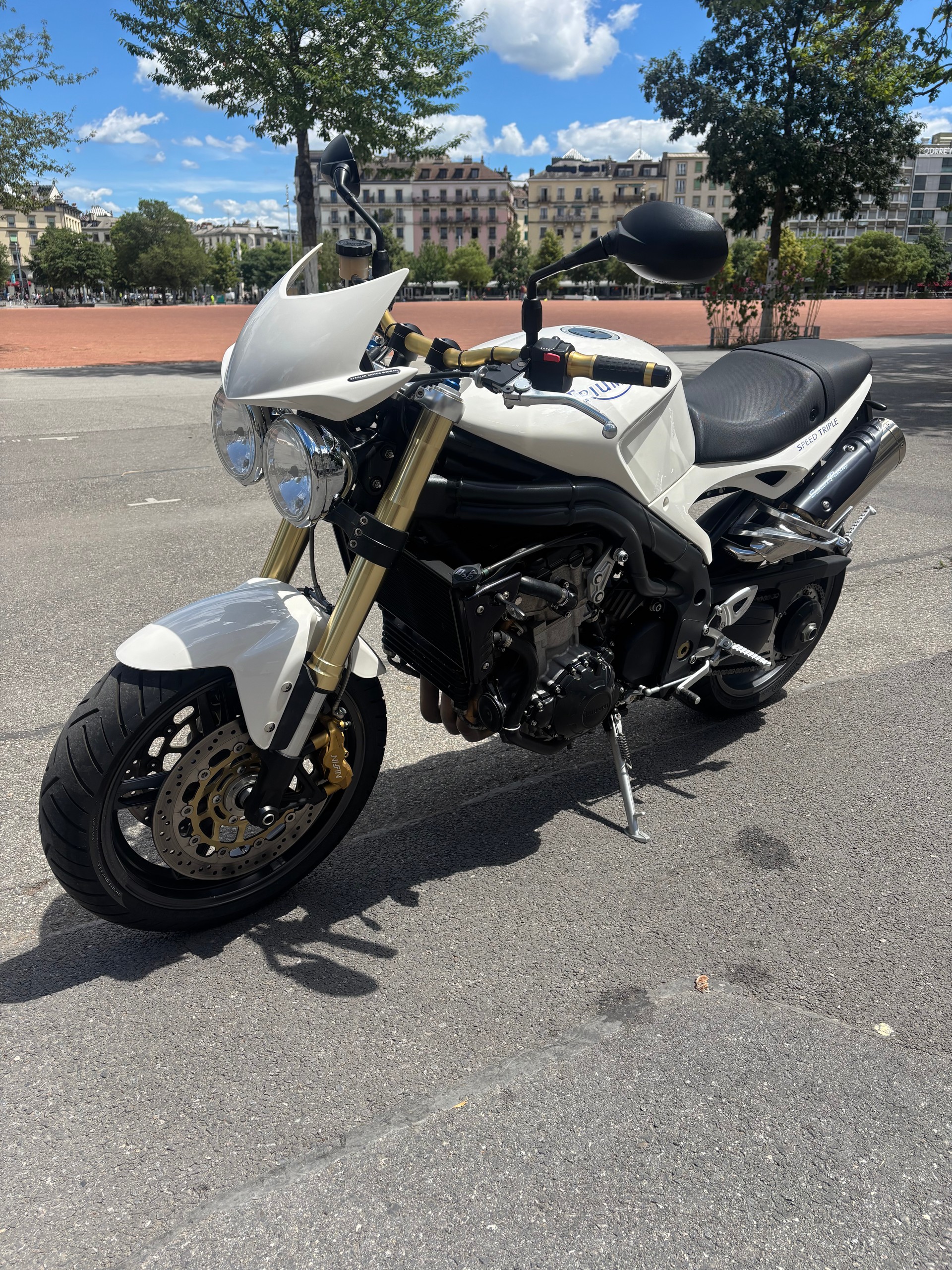 TRIUMPH Speed Triple 1050-image-4