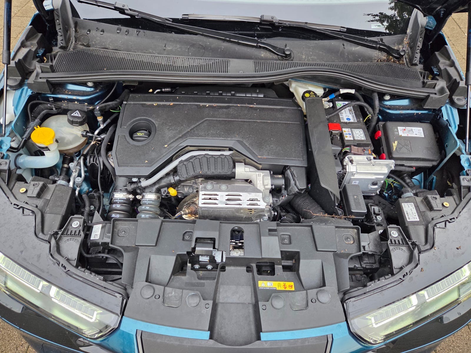 ALFA ROMEO Junior 1.2 48V Hybrid Speciale-image-15