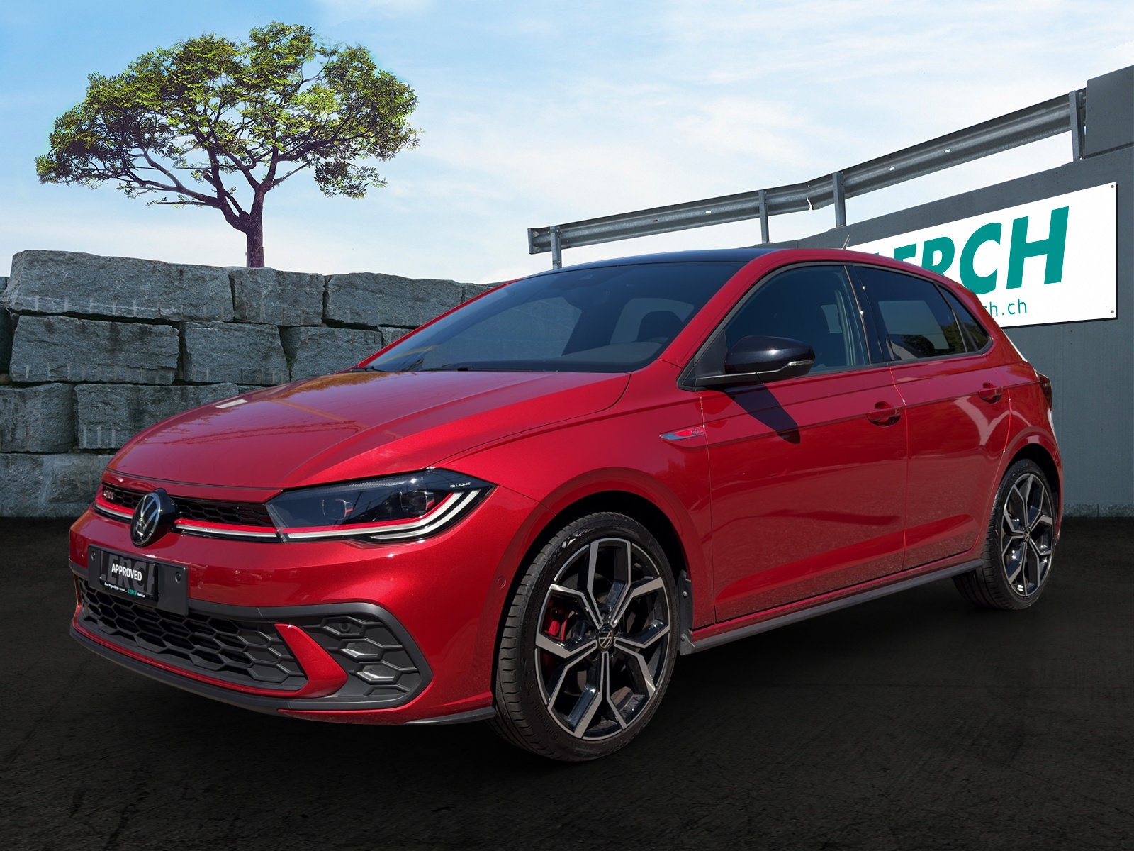 VW Polo 2.0 TSI GTI DSG-image-0