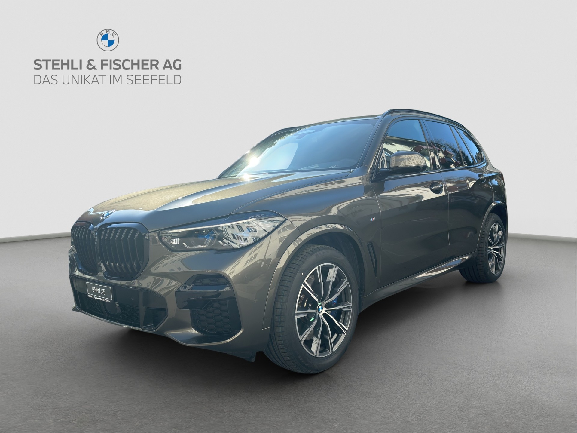 BMW X5 xDrive 48V 40d M Sport Steptronic-showroom-element-1