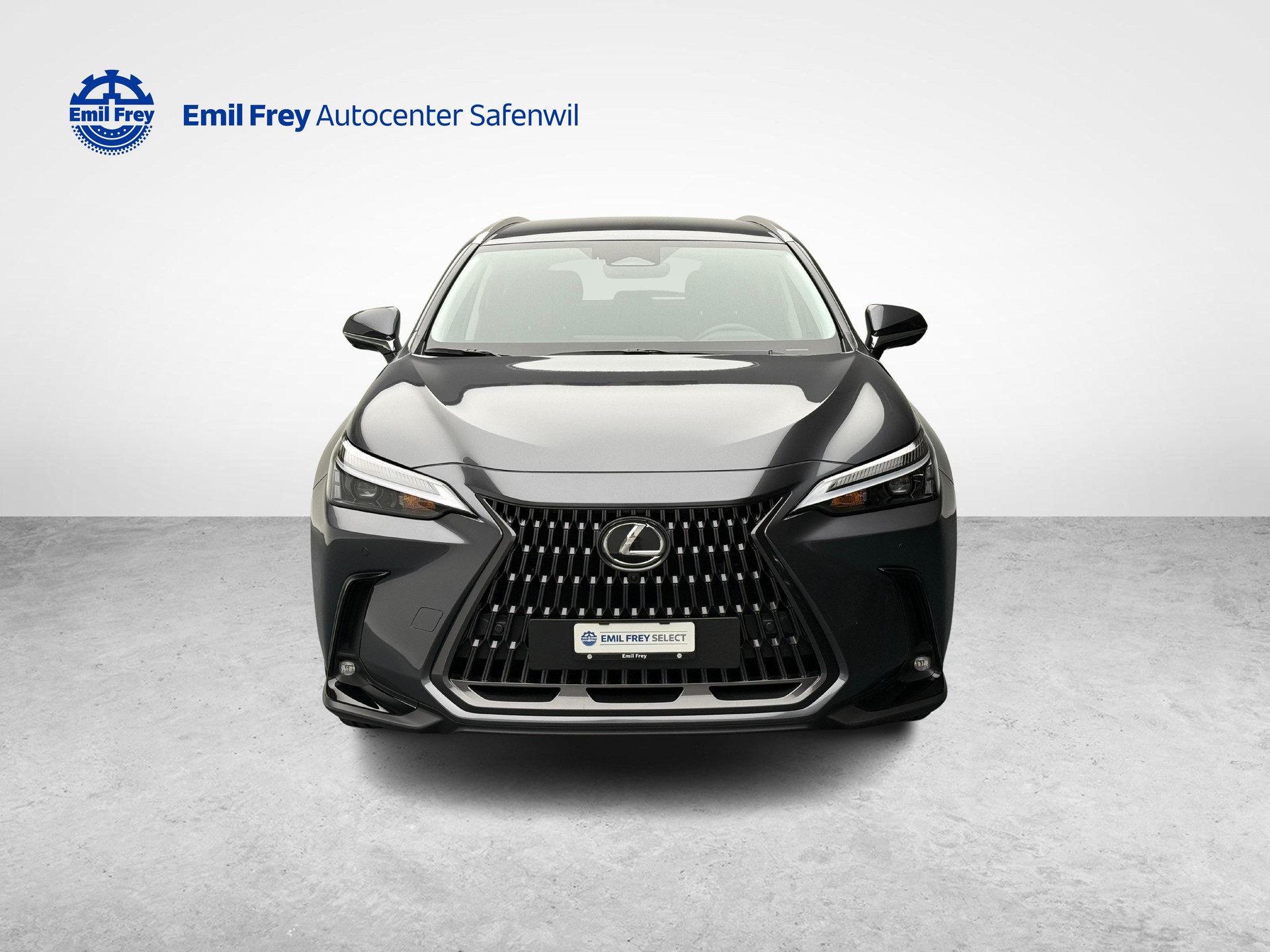 LEXUS NX 450h+ Comfort-image-7
