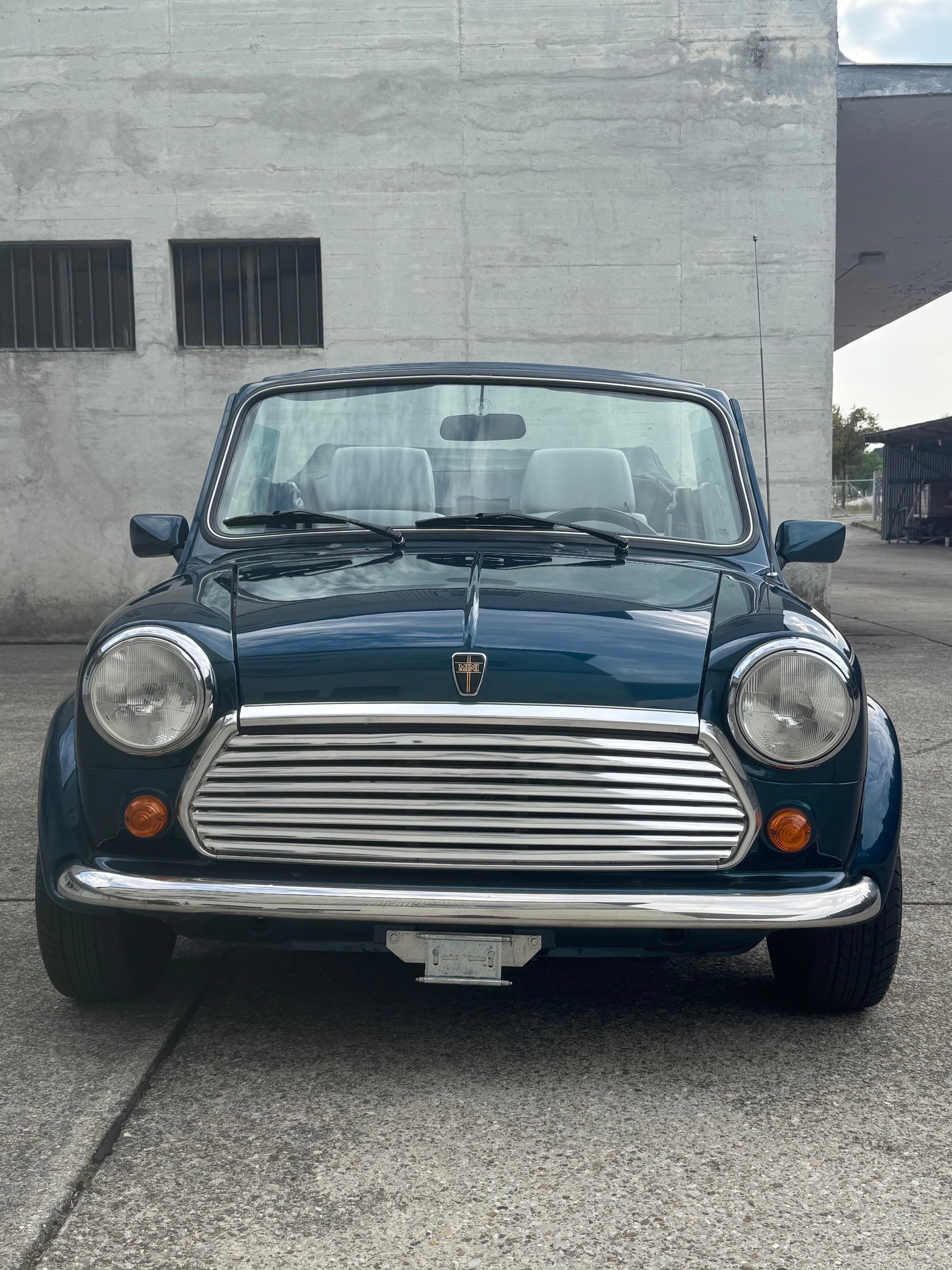 MINI Lamm Cabrio-image-9