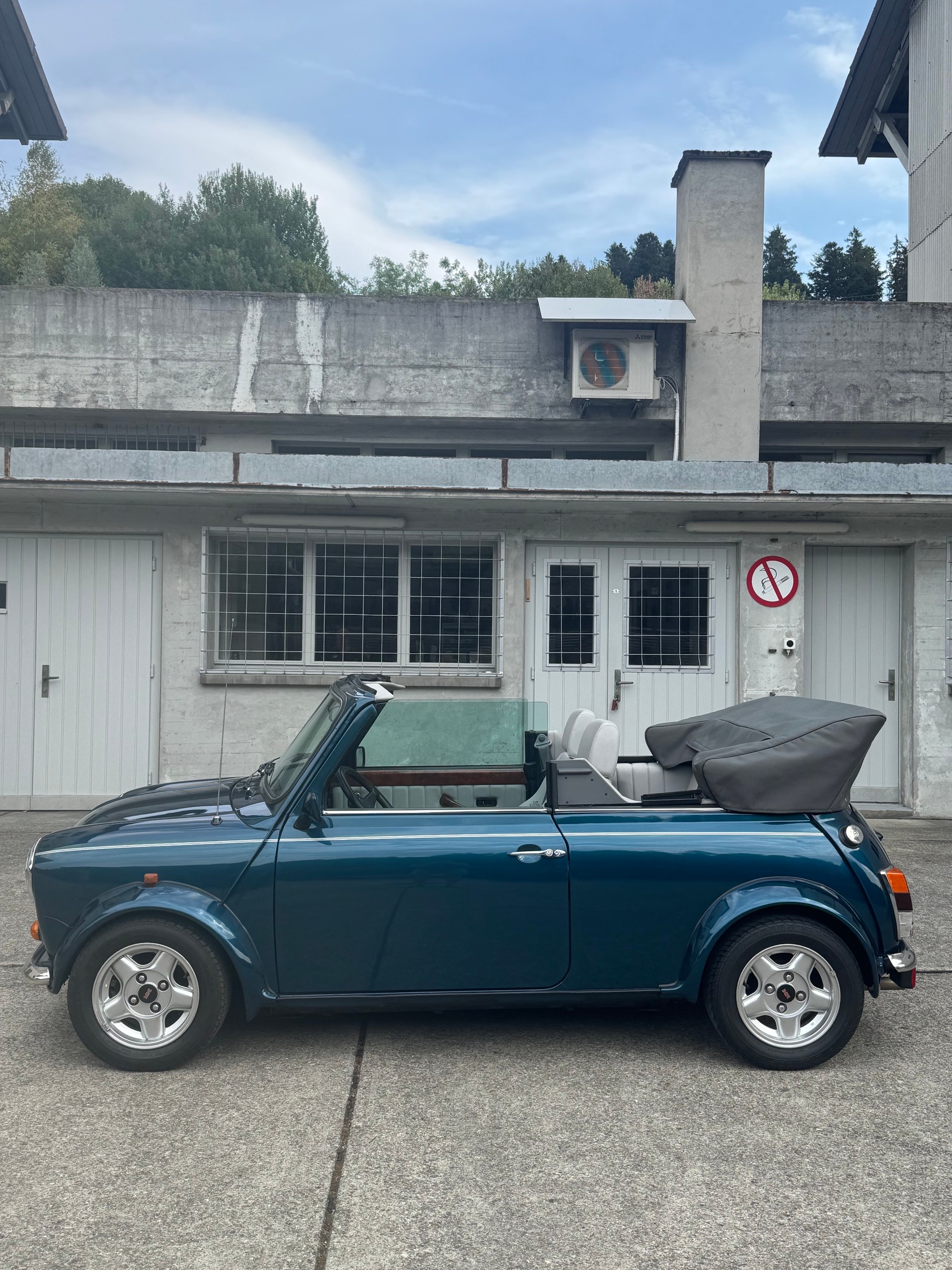 MINI Lamm Cabrio-image-12