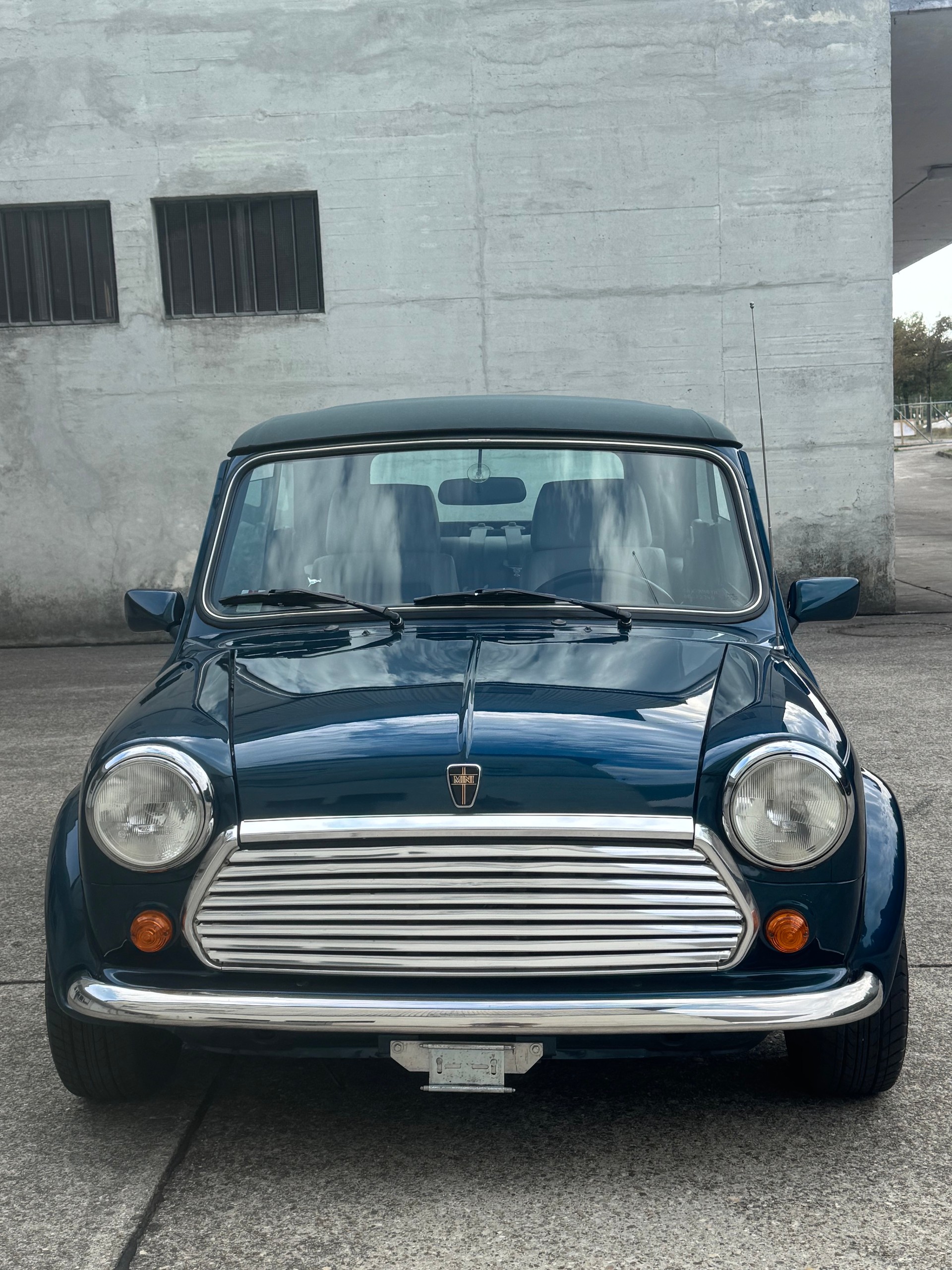 MINI Lamm Cabrio-image-1