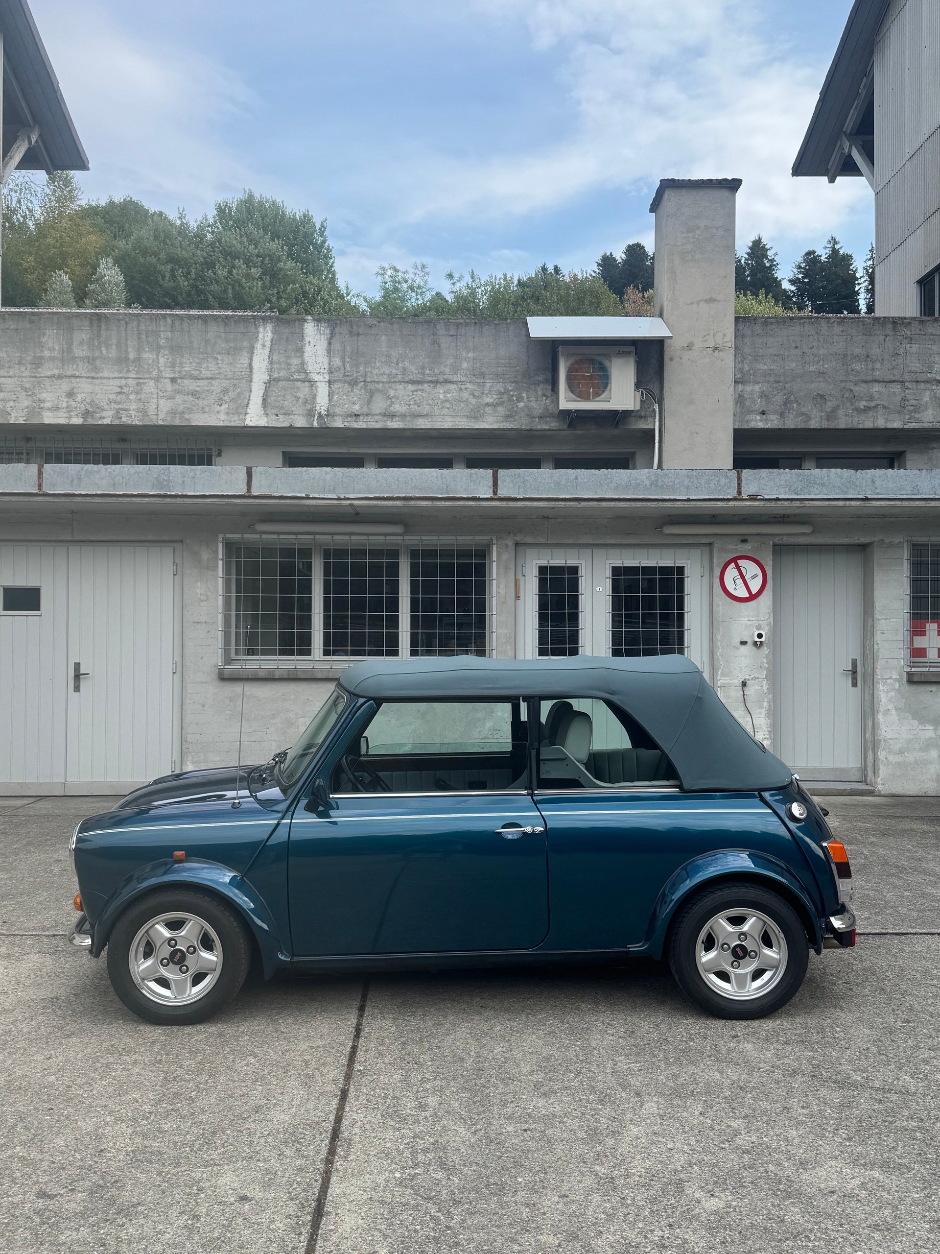 MINI Lamm Cabrio-image-2