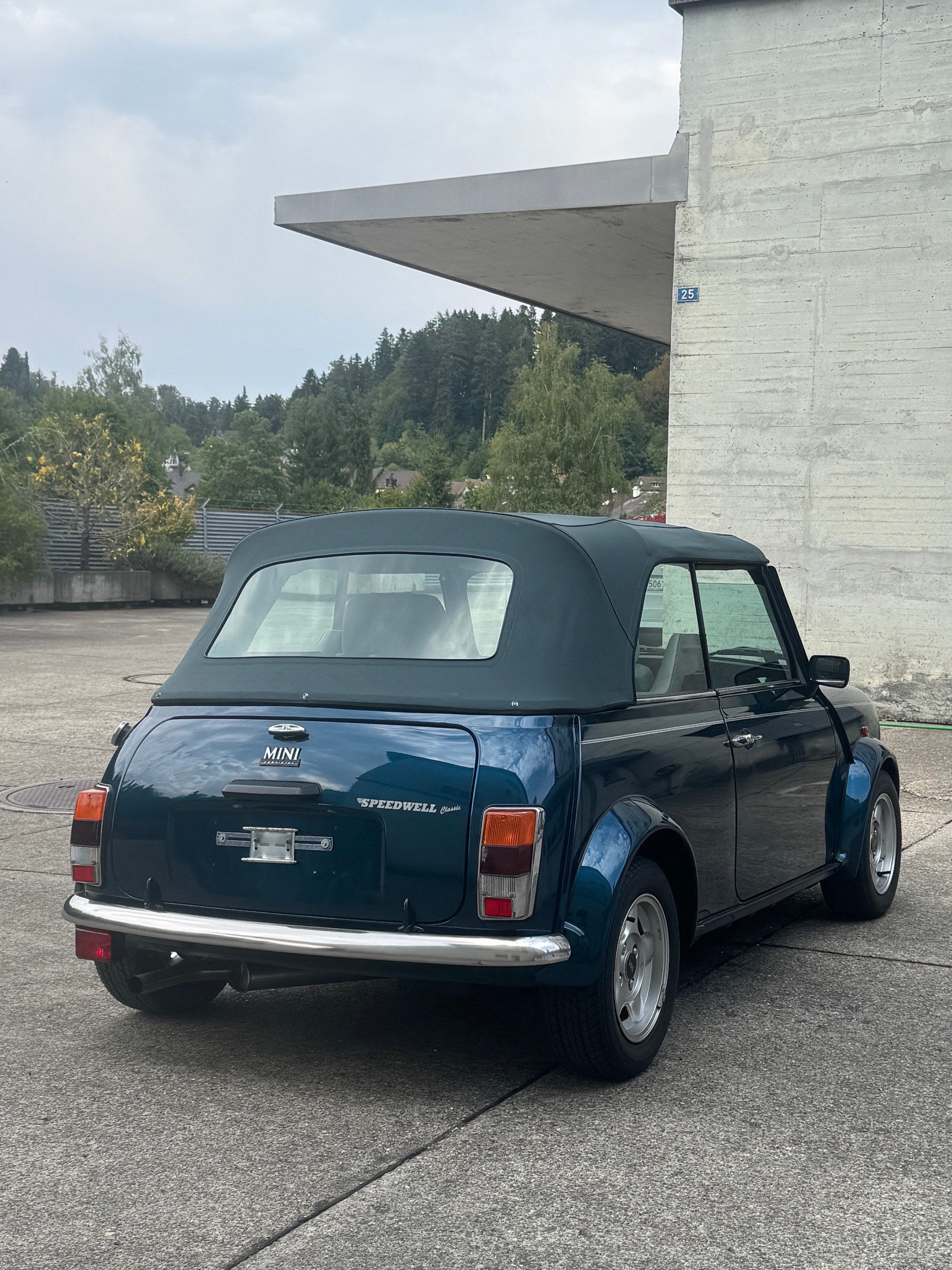 MINI Lamm Cabrio-image-5