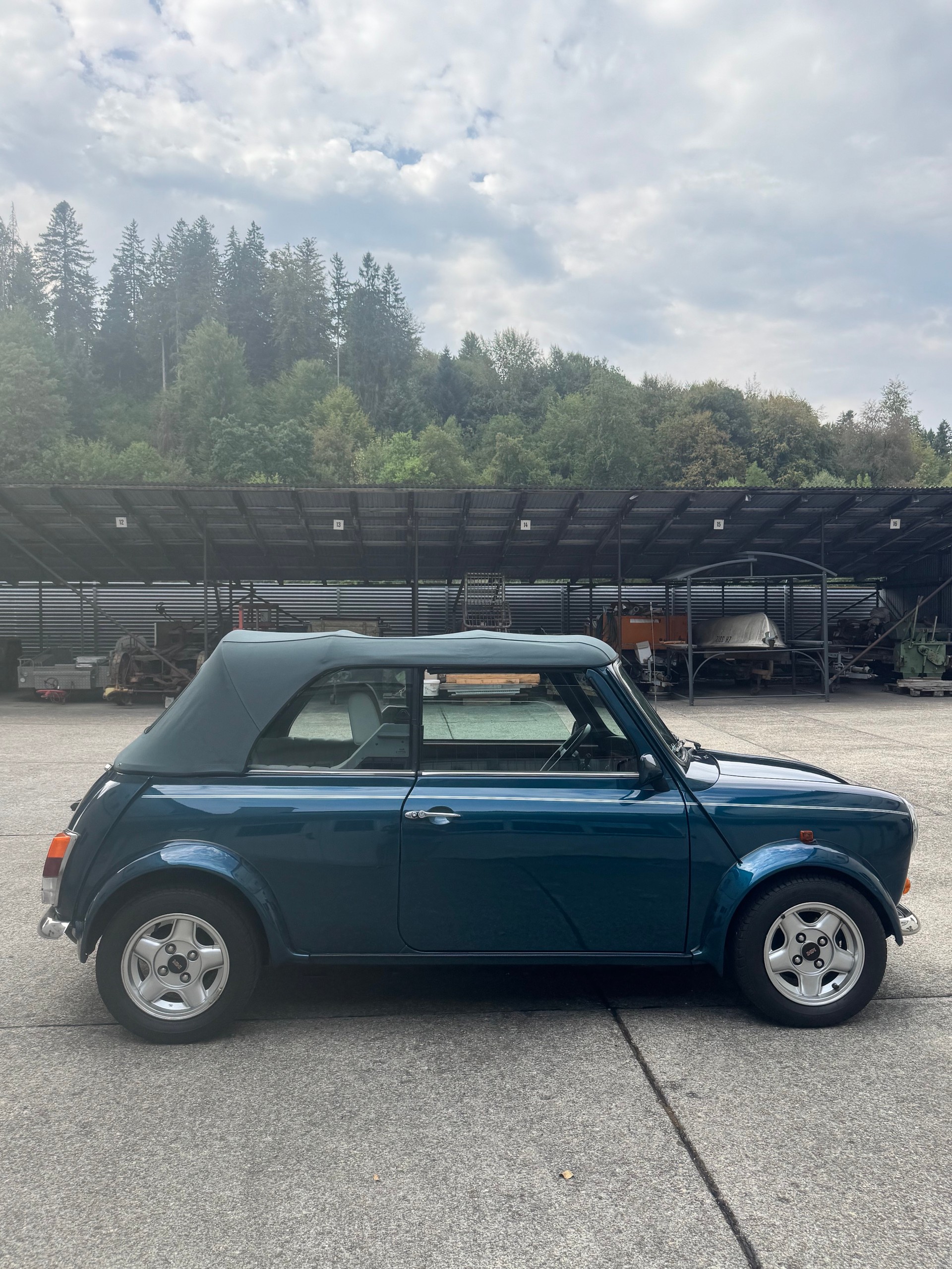 MINI Lamm Cabrio-image-6
