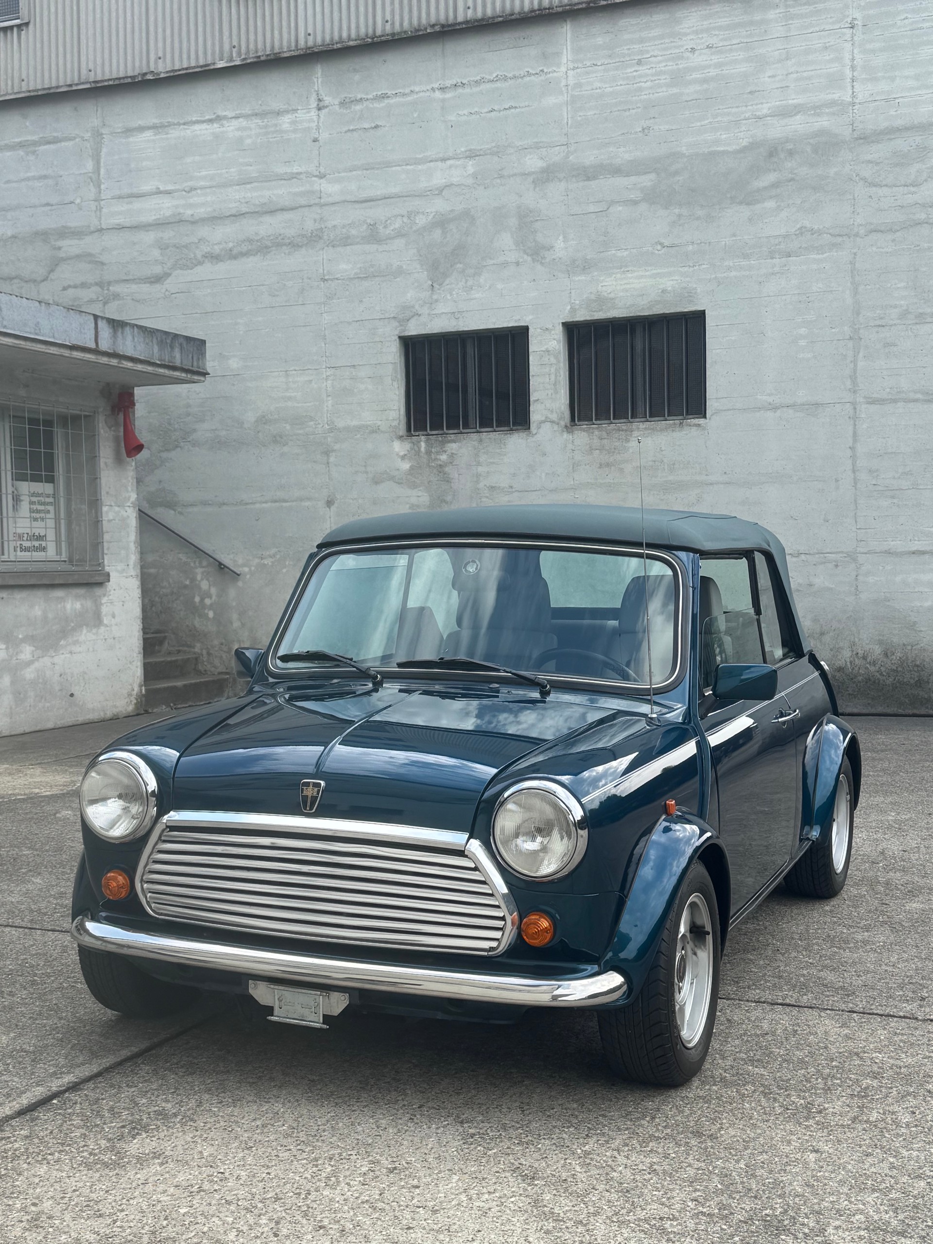 MINI Lamm Cabrio-image-0