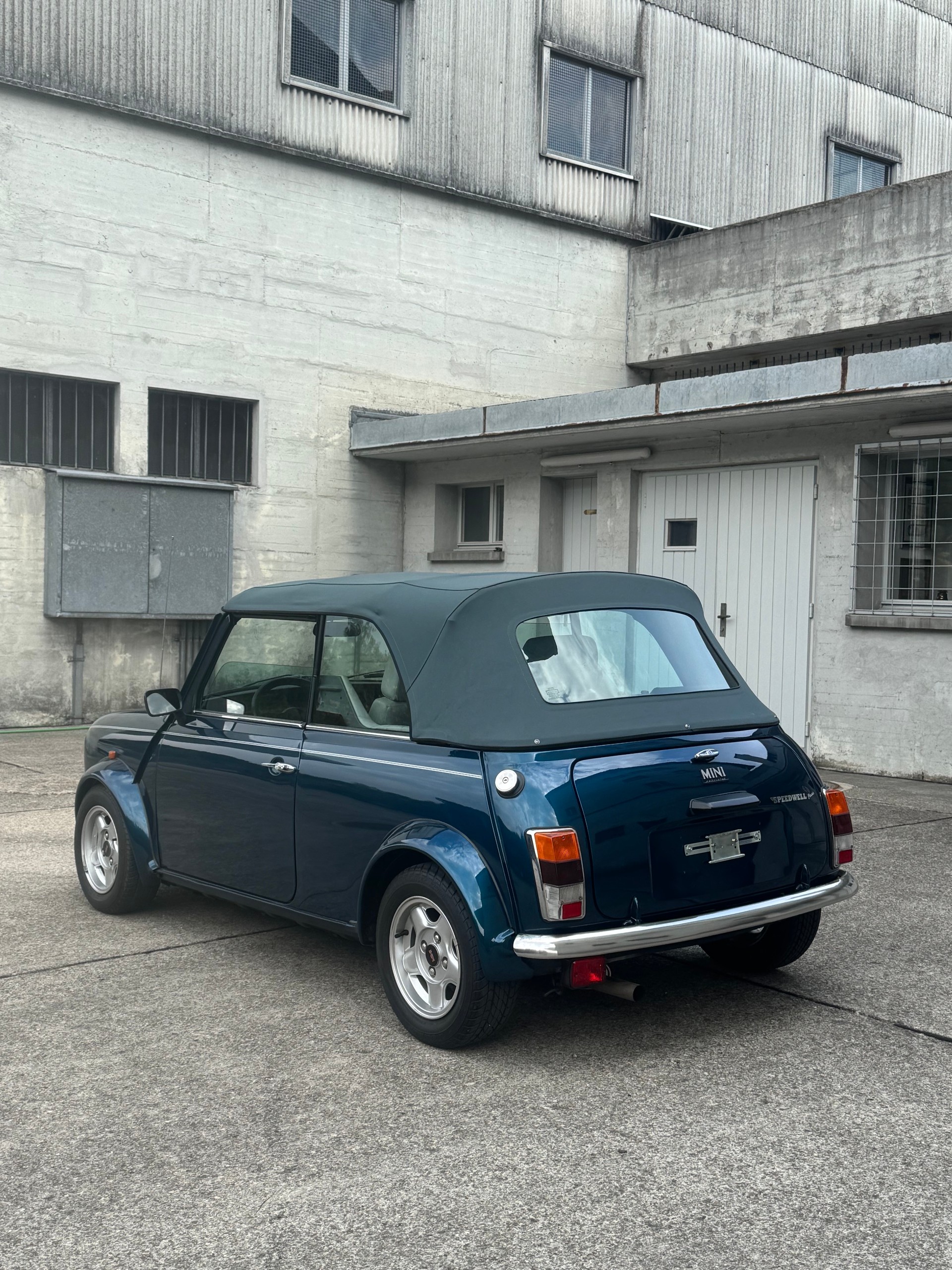 MINI Lamm Cabrio-image-3