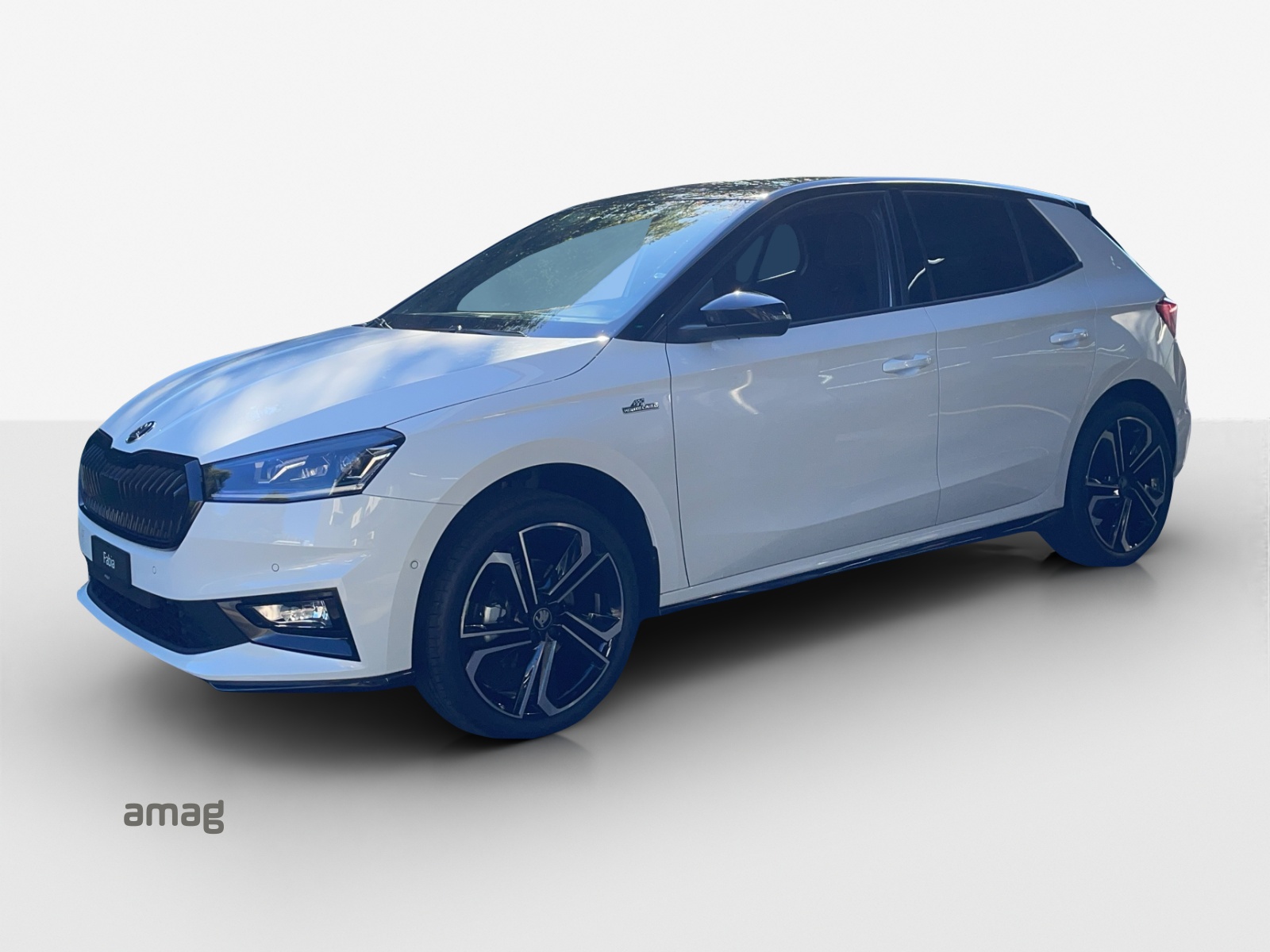 SKODA Fabia 1.0 TSI Monte Carlo DSG-image-0