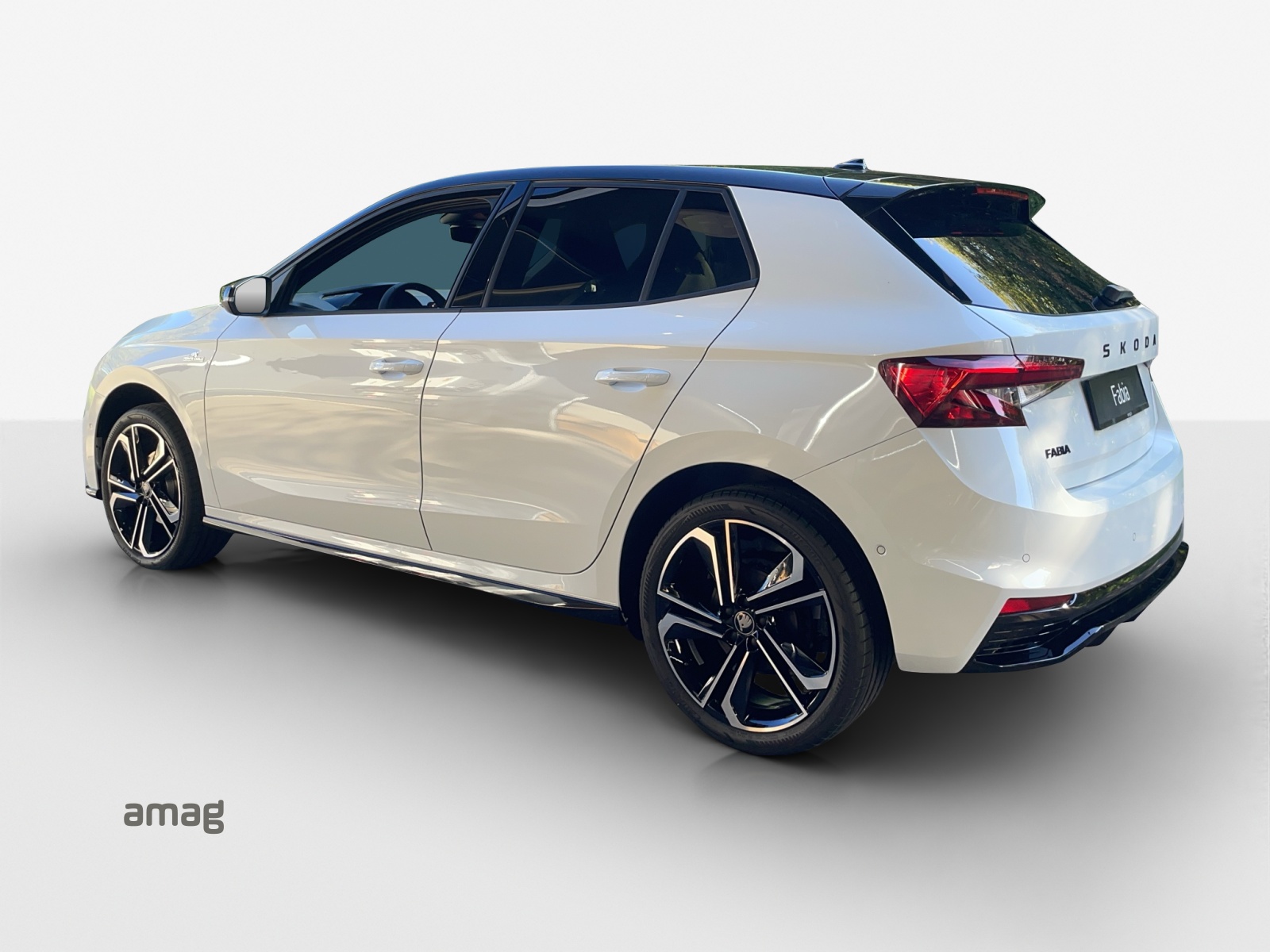 SKODA Fabia 1.0 TSI Monte Carlo DSG-image-2