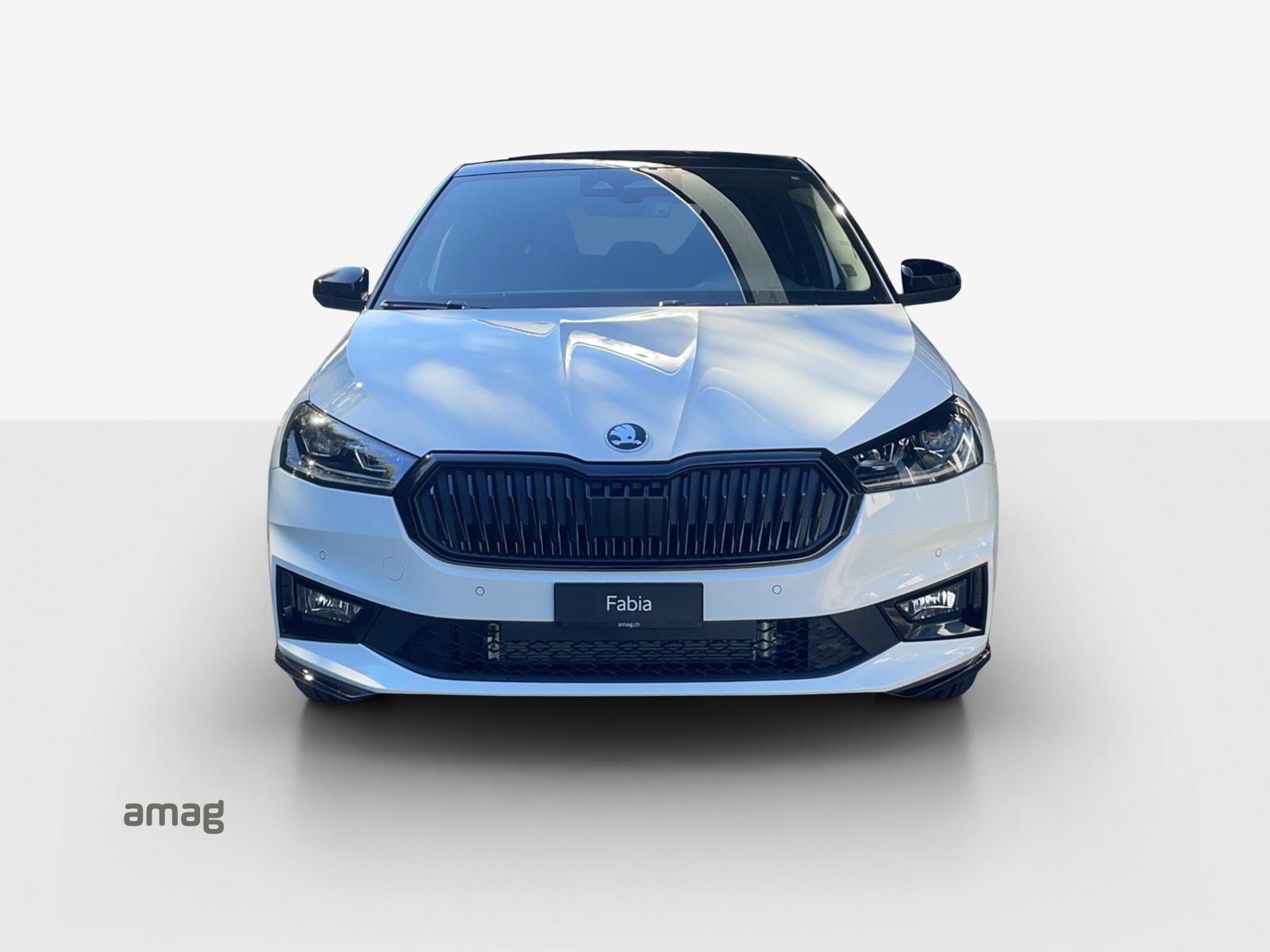SKODA Fabia 1.0 TSI Monte Carlo DSG-image-6