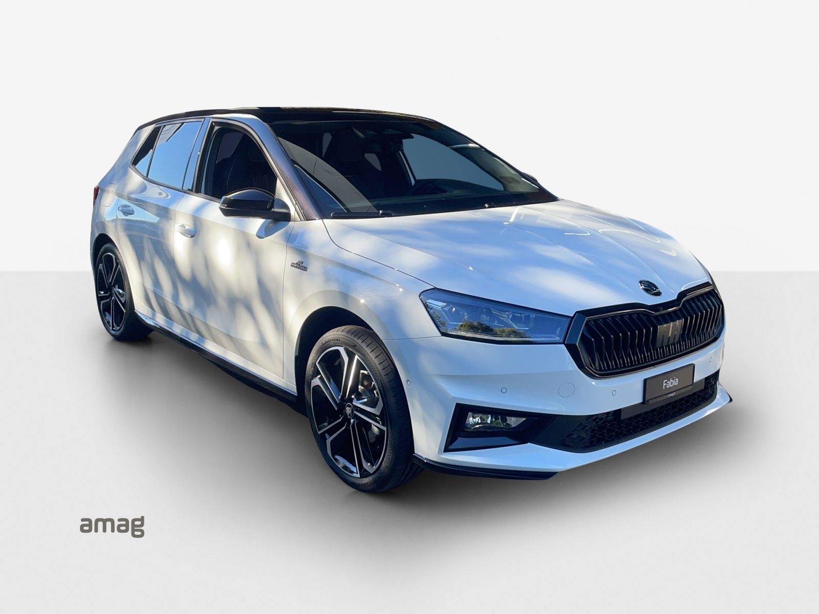 SKODA Fabia 1.0 TSI Monte Carlo DSG-image-5