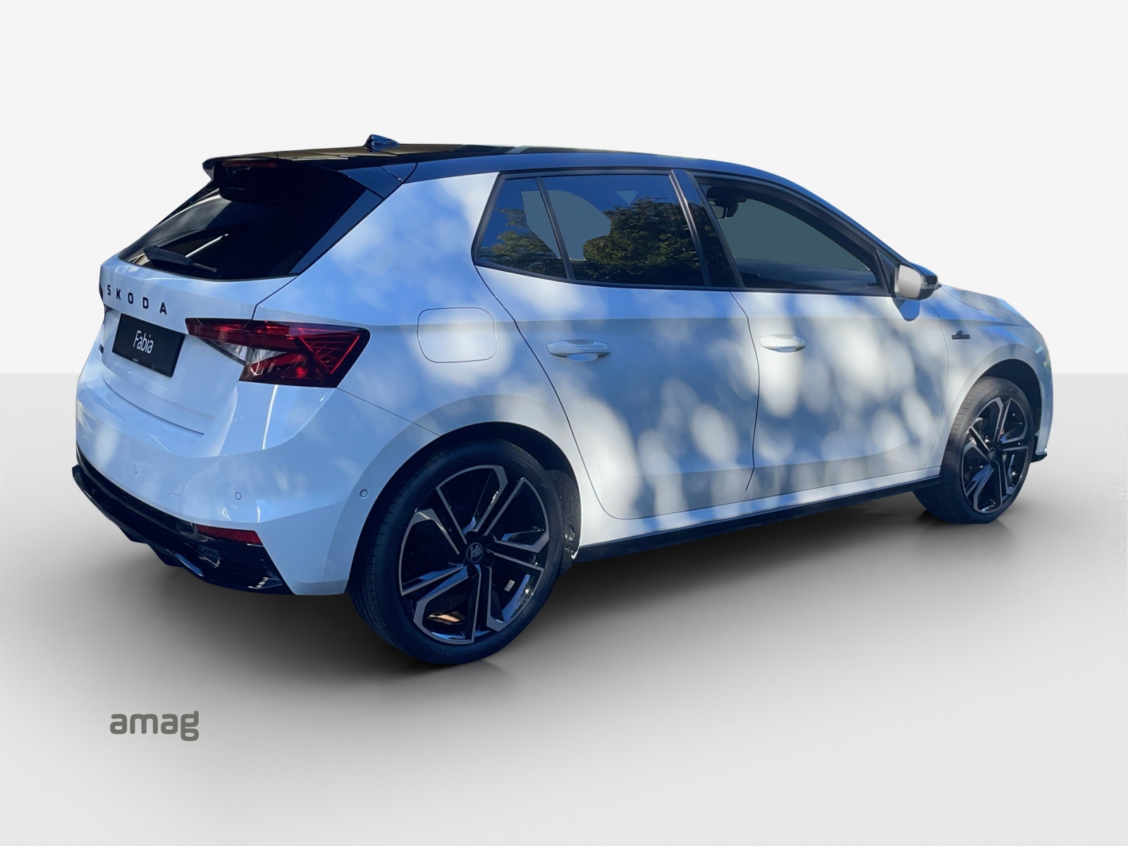 SKODA Fabia 1.0 TSI Monte Carlo DSG-image-4