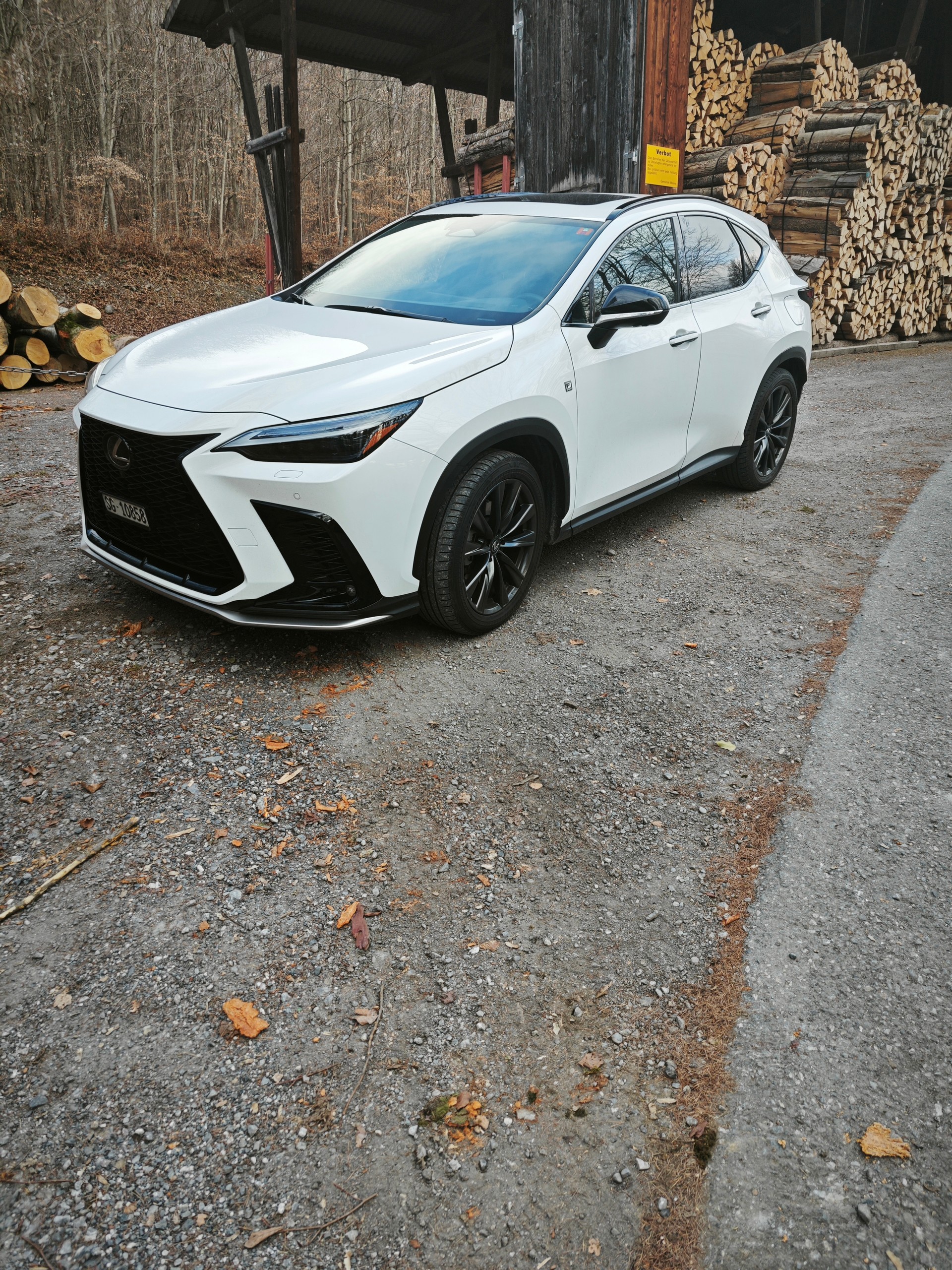 LEXUS NX 450+ F-Sport 4WD-image-4