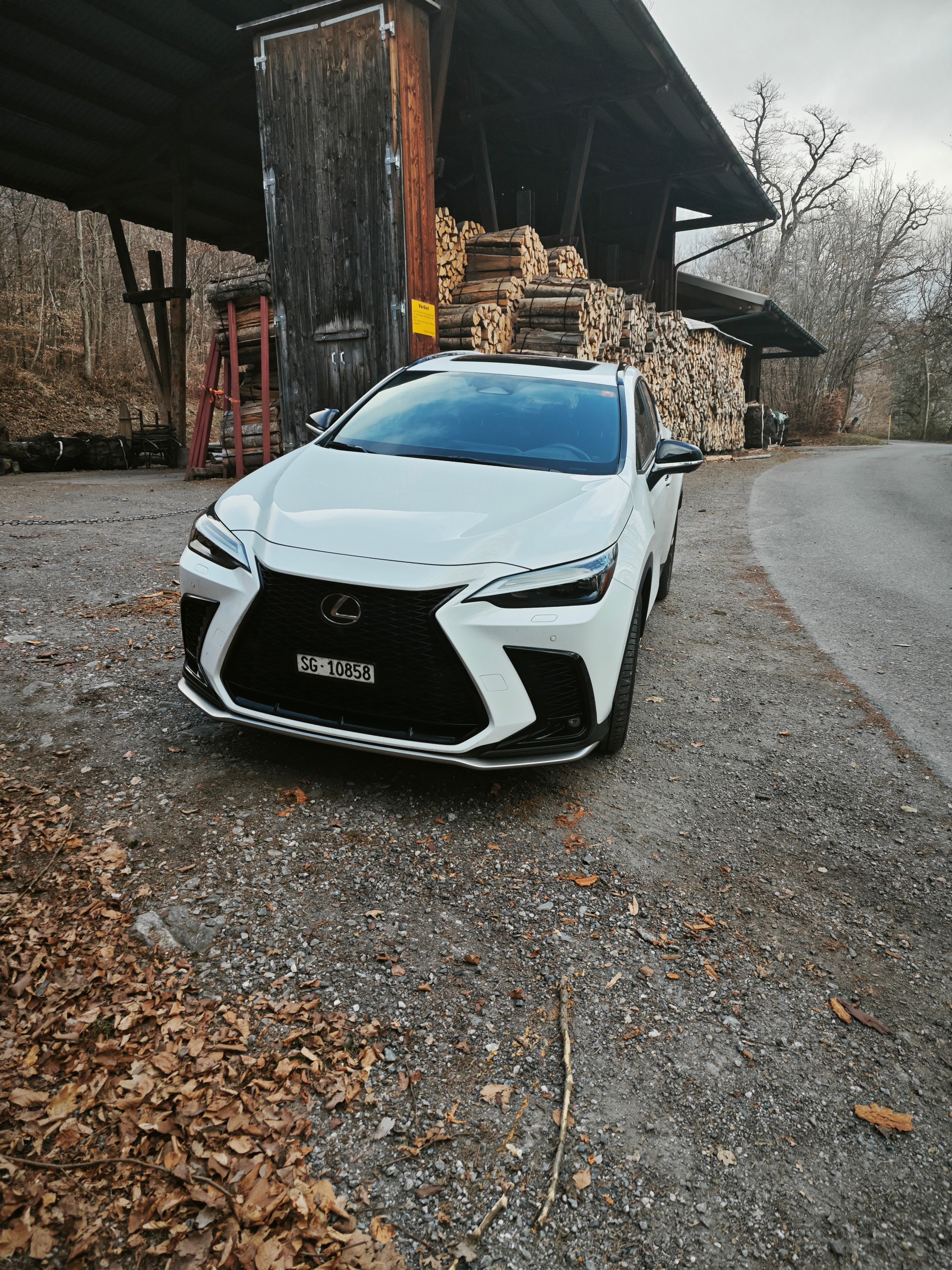 LEXUS NX 450+ F-Sport 4WD-image-6