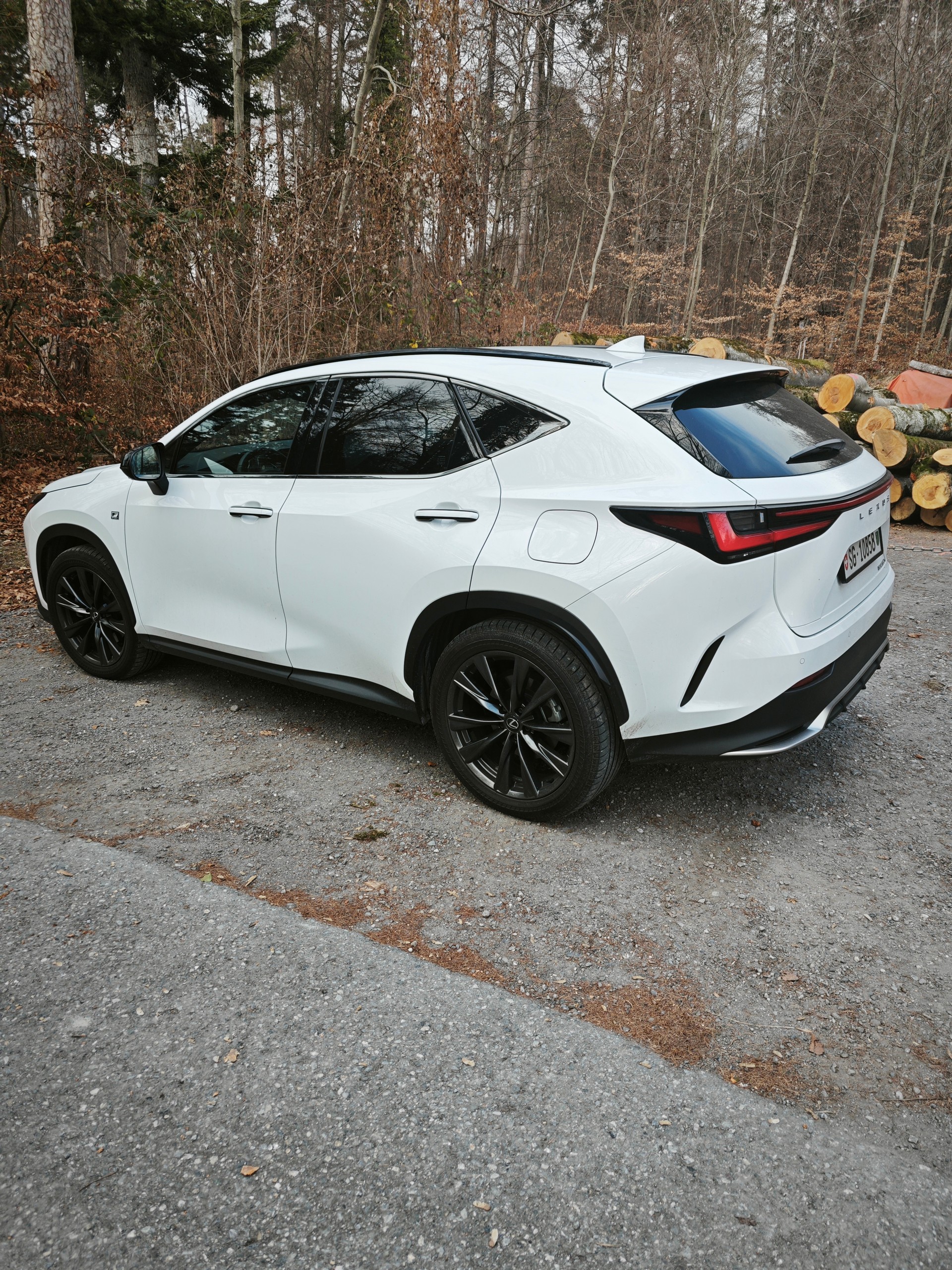 LEXUS NX 450+ F-Sport 4WD-image-1