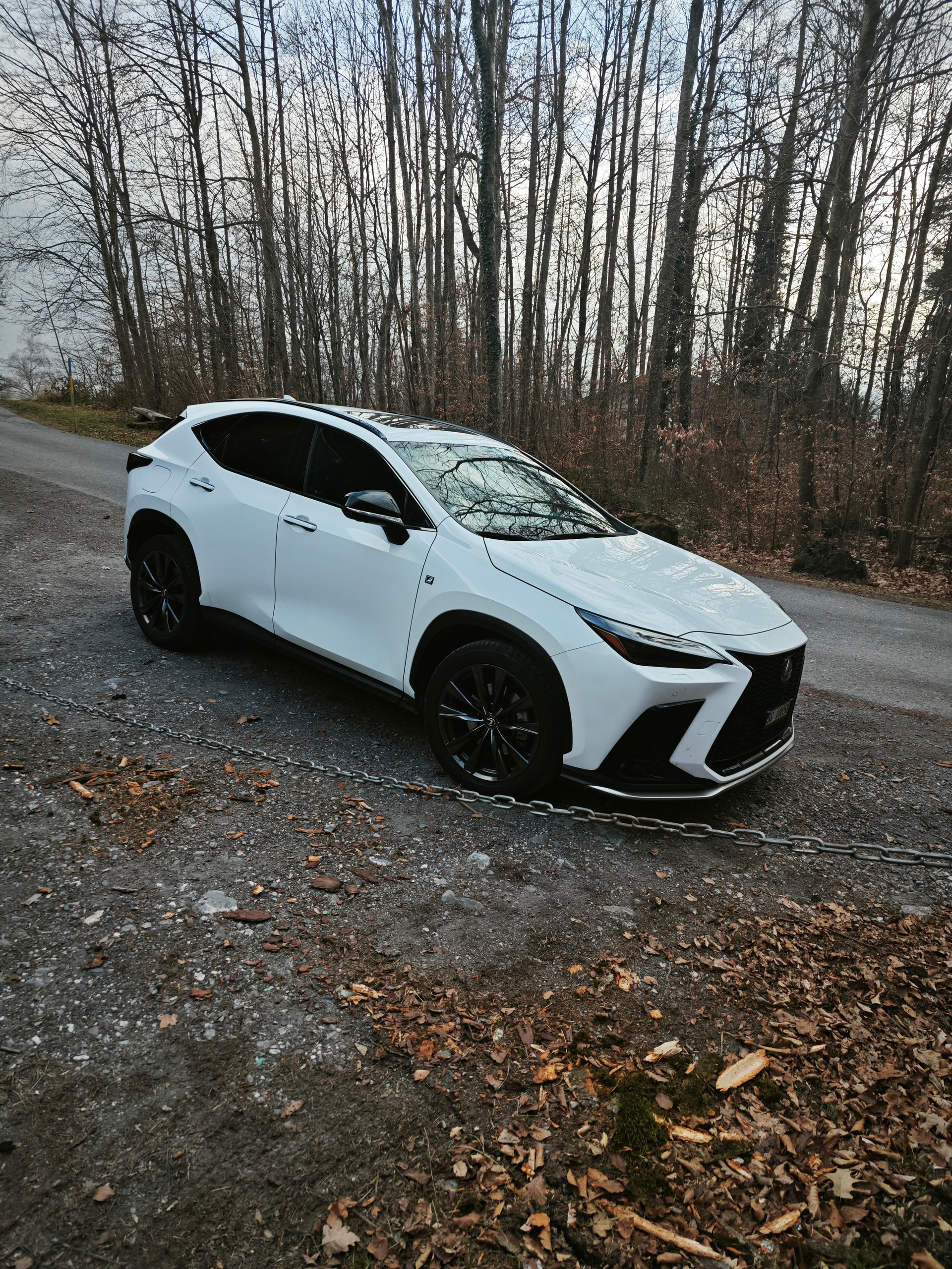 LEXUS NX 450+ F-Sport 4WD-image-3