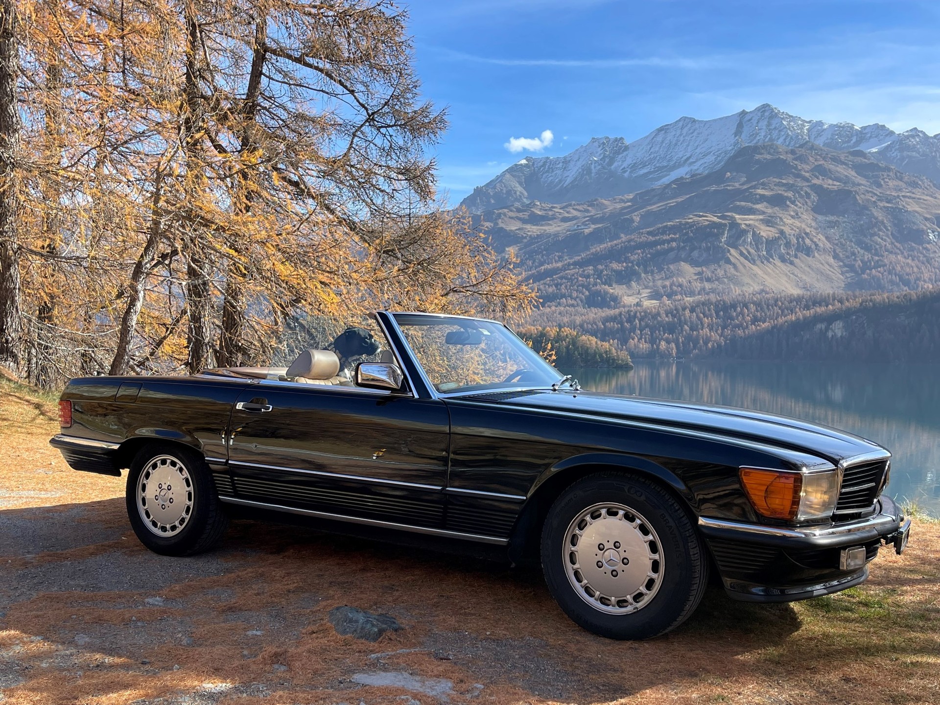 MERCEDES-BENZ 560 SL