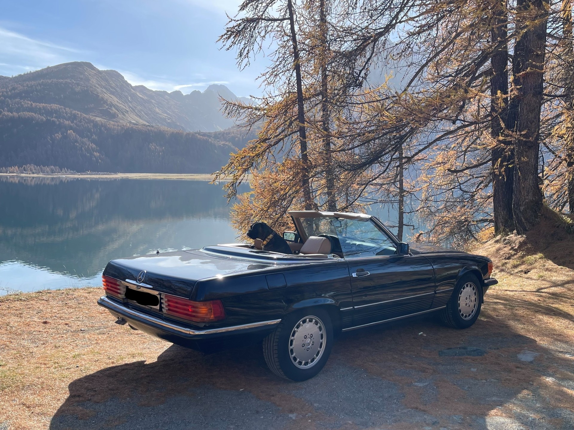 MERCEDES-BENZ 560 SL-image-2