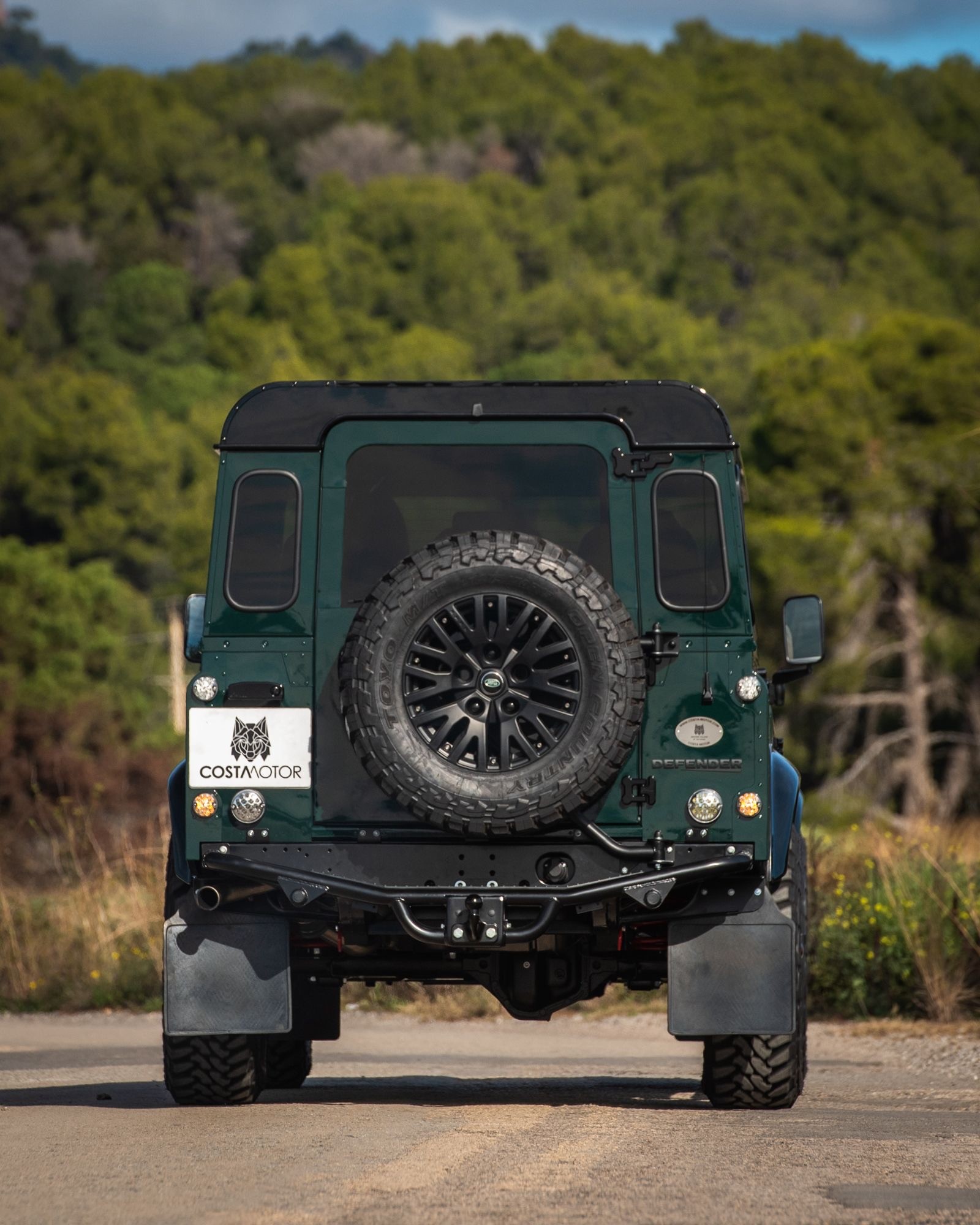 LAND ROVER Defender 110 2.5Td5-image-2