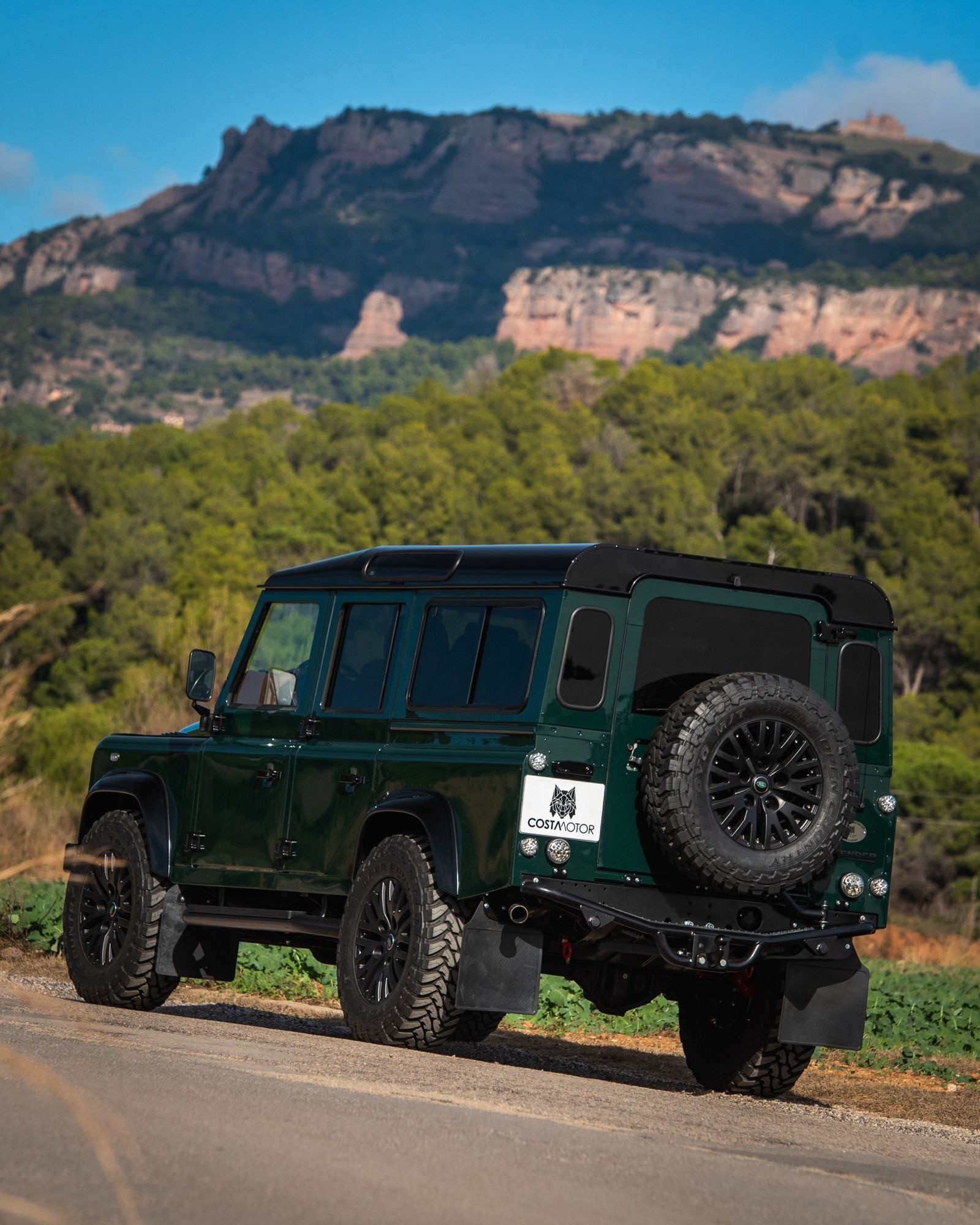 LAND ROVER Defender 110 2.5Td5-image-3