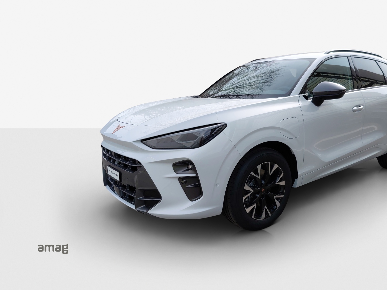 CUPRA Terramar 1.5 eHybrid DSG Business Edition-image-15