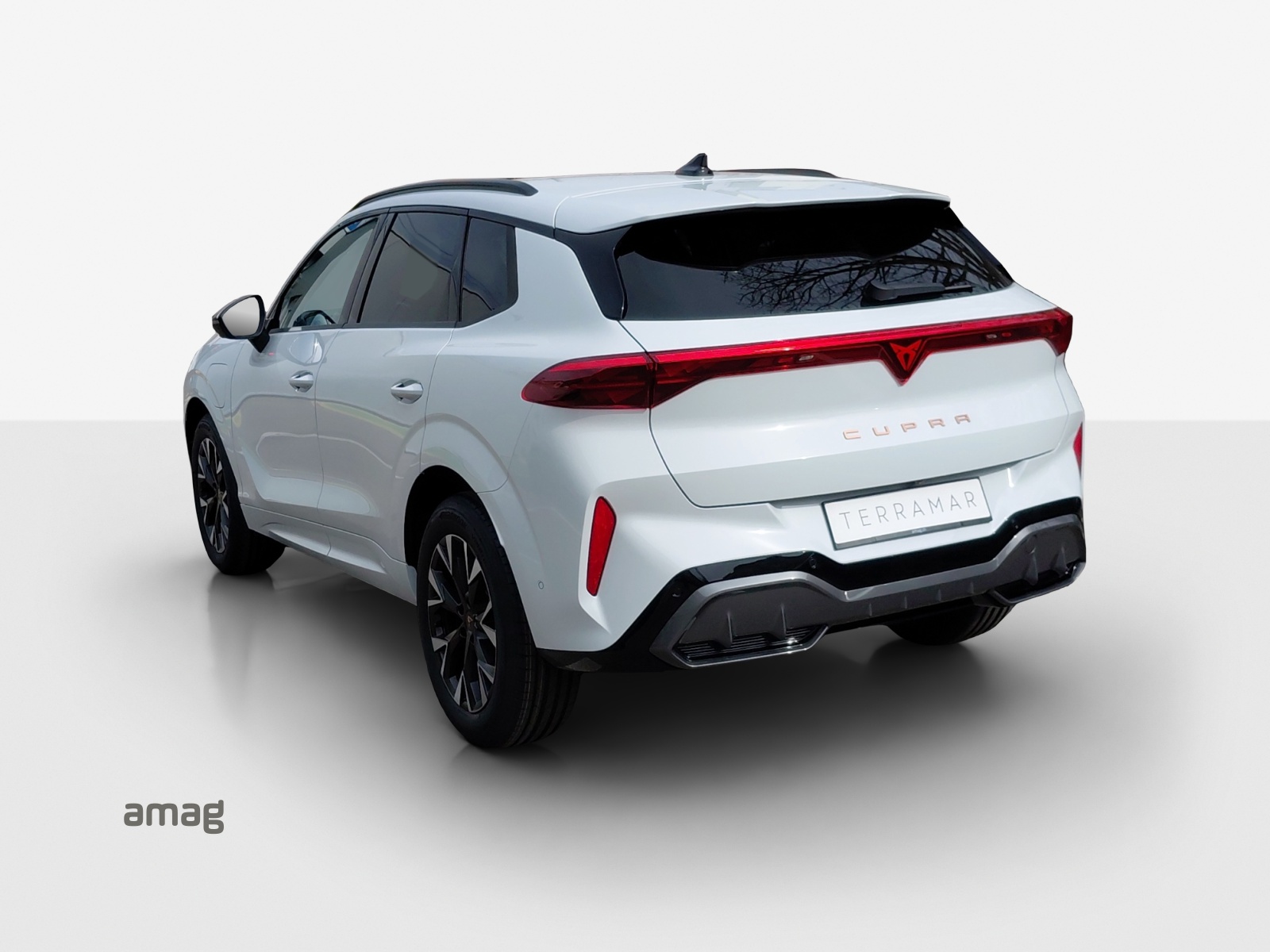 CUPRA Terramar 1.5 eHybrid DSG Business Edition-image-2