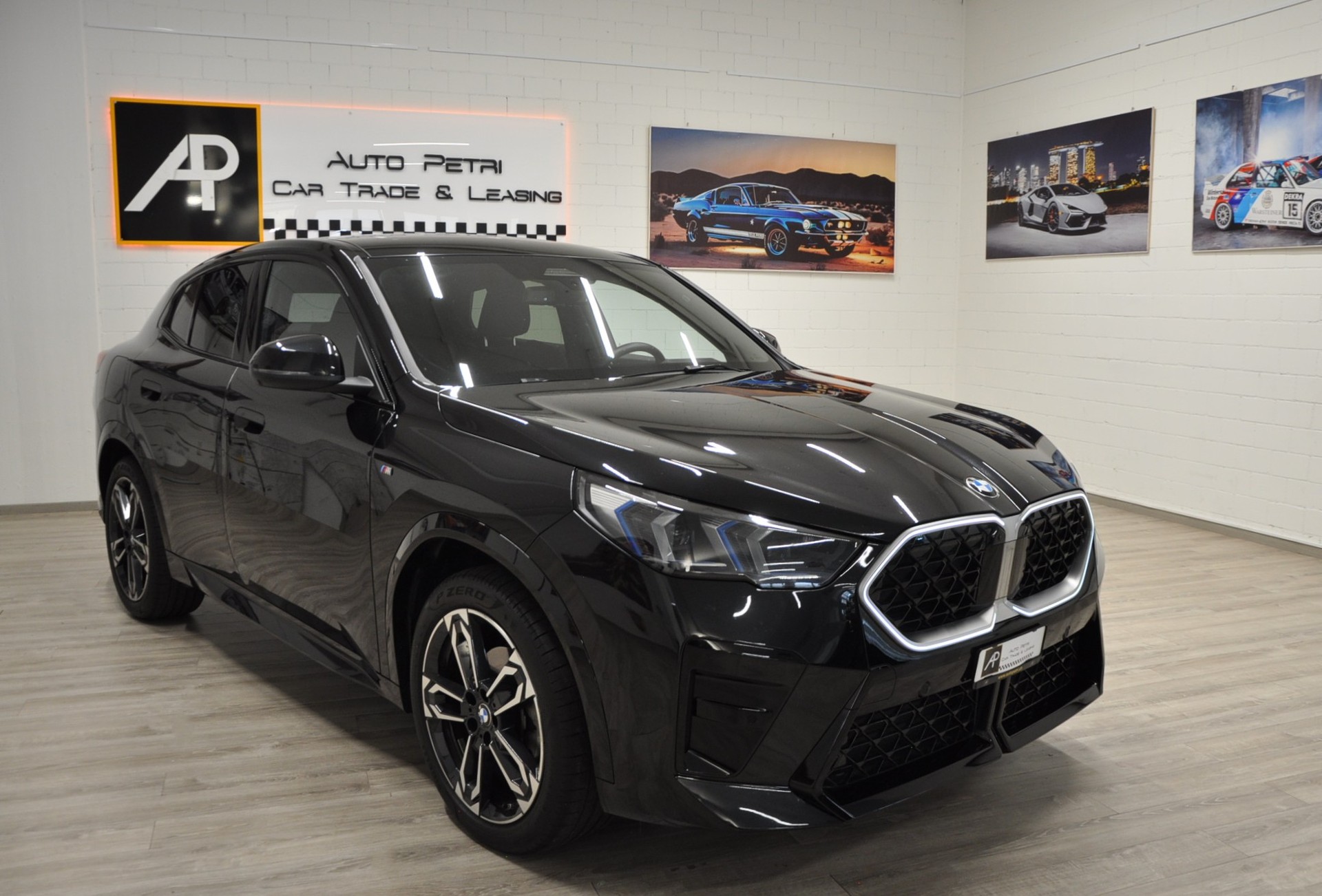 BMW X2 xDrive 20d 48V M Sport Pro-image-5