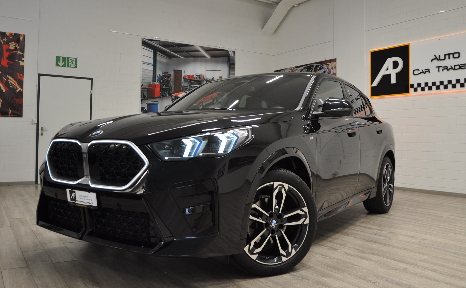 BMW X2 xDrive 20d 48V M Sport Pro-showroom-element-1