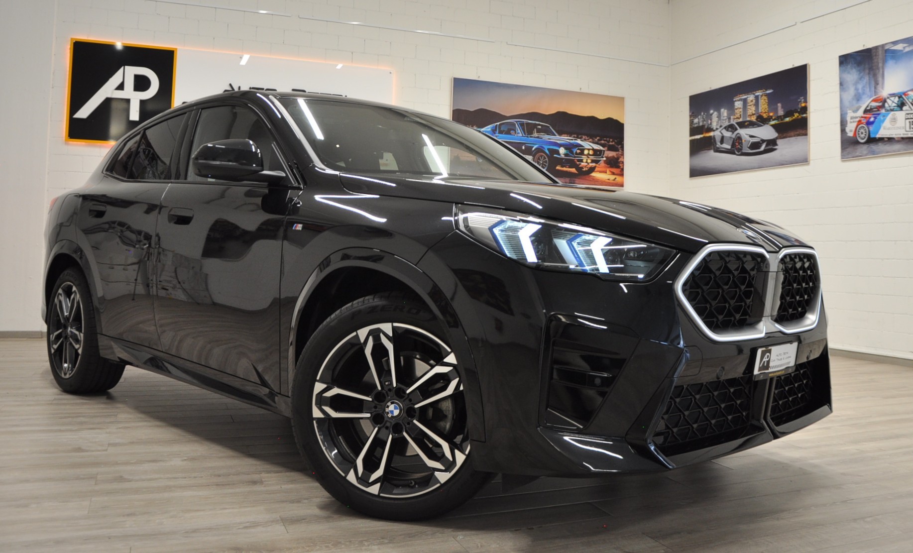 BMW X2 xDrive 20d 48V M Sport Pro