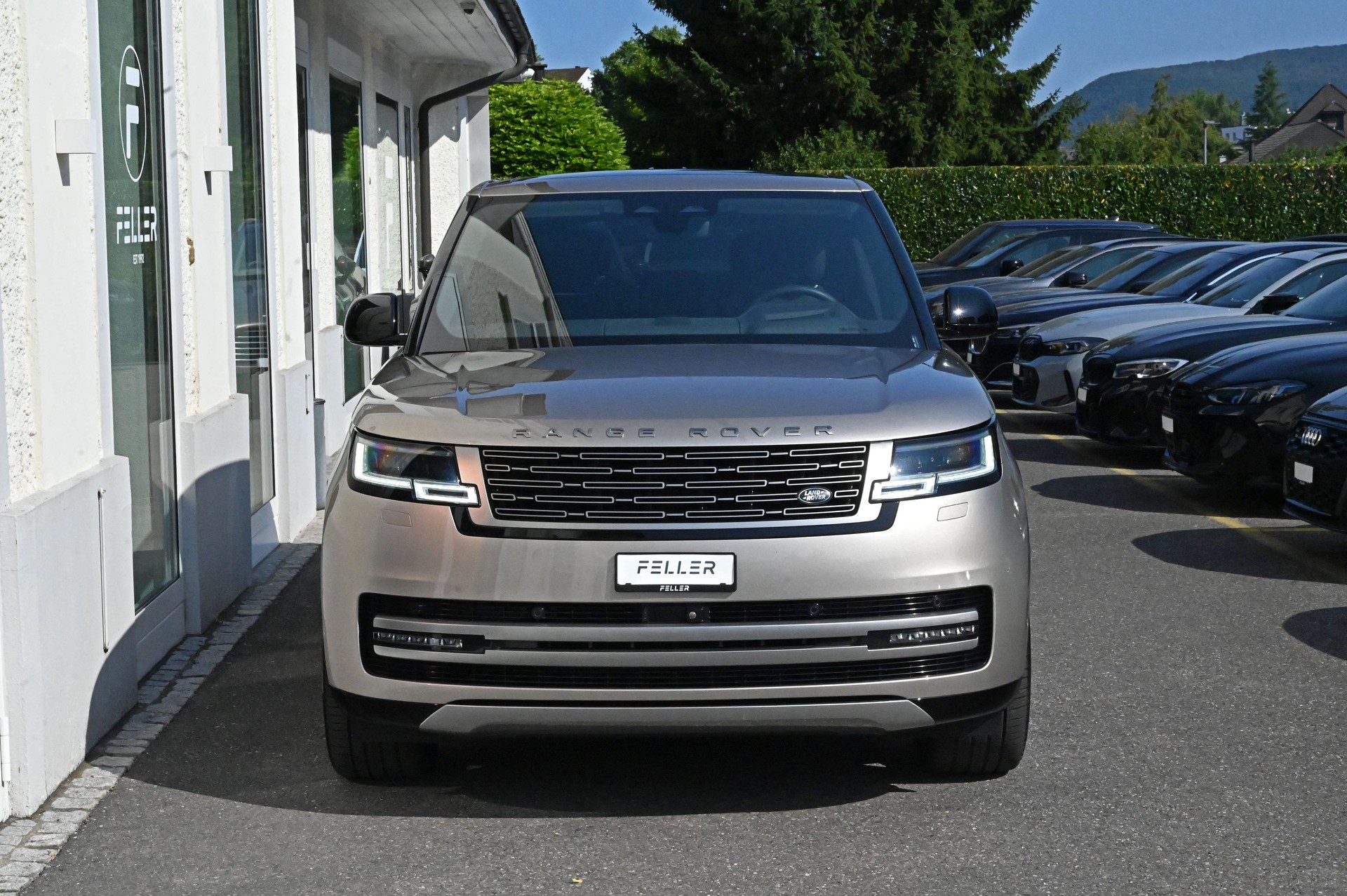 LAND ROVER Range Rover D350 3.0D I6 MHEV HSE Automatic-image-2