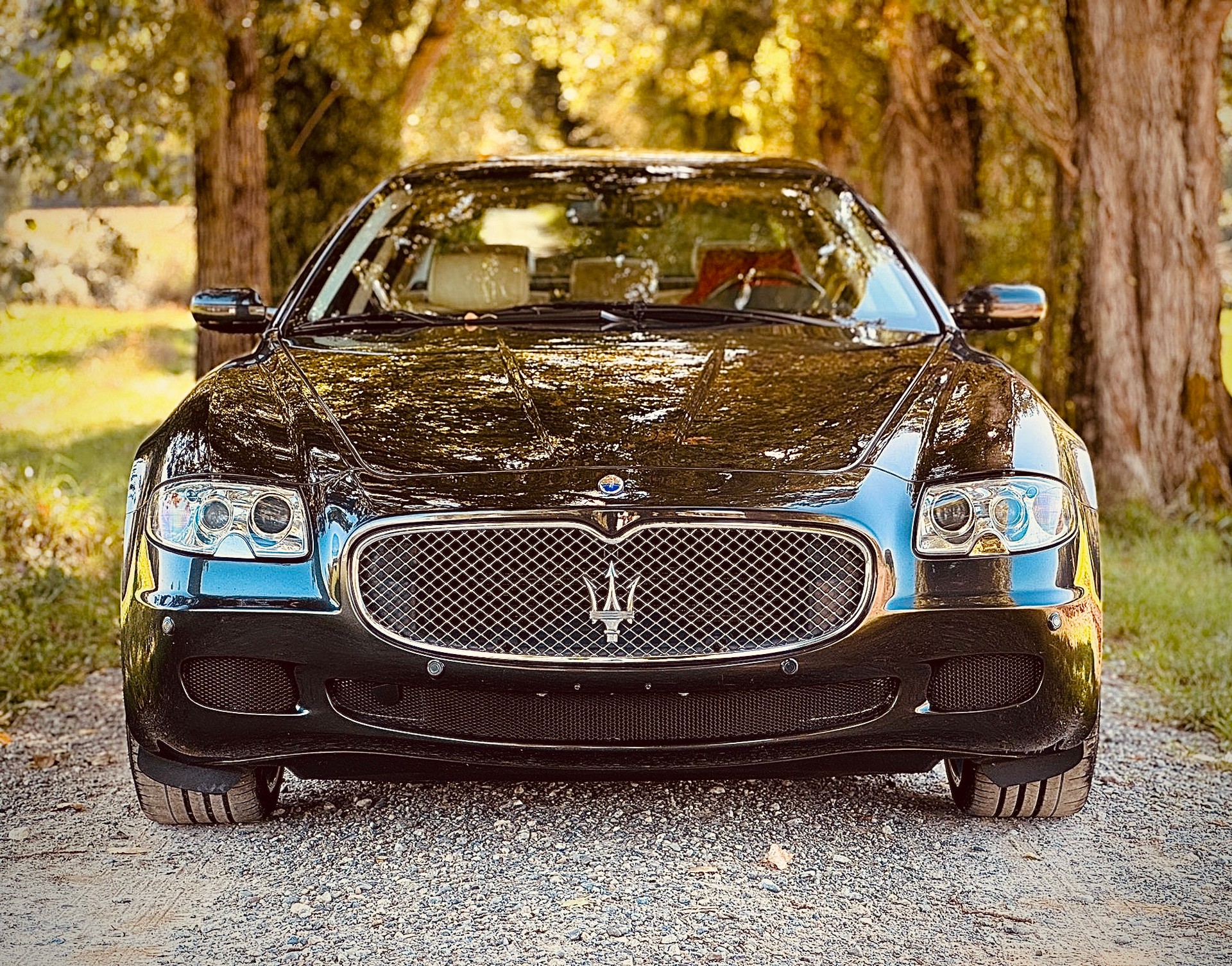 MASERATI Quattroporte 4.2 V8 Executive GT Automatica-image-5