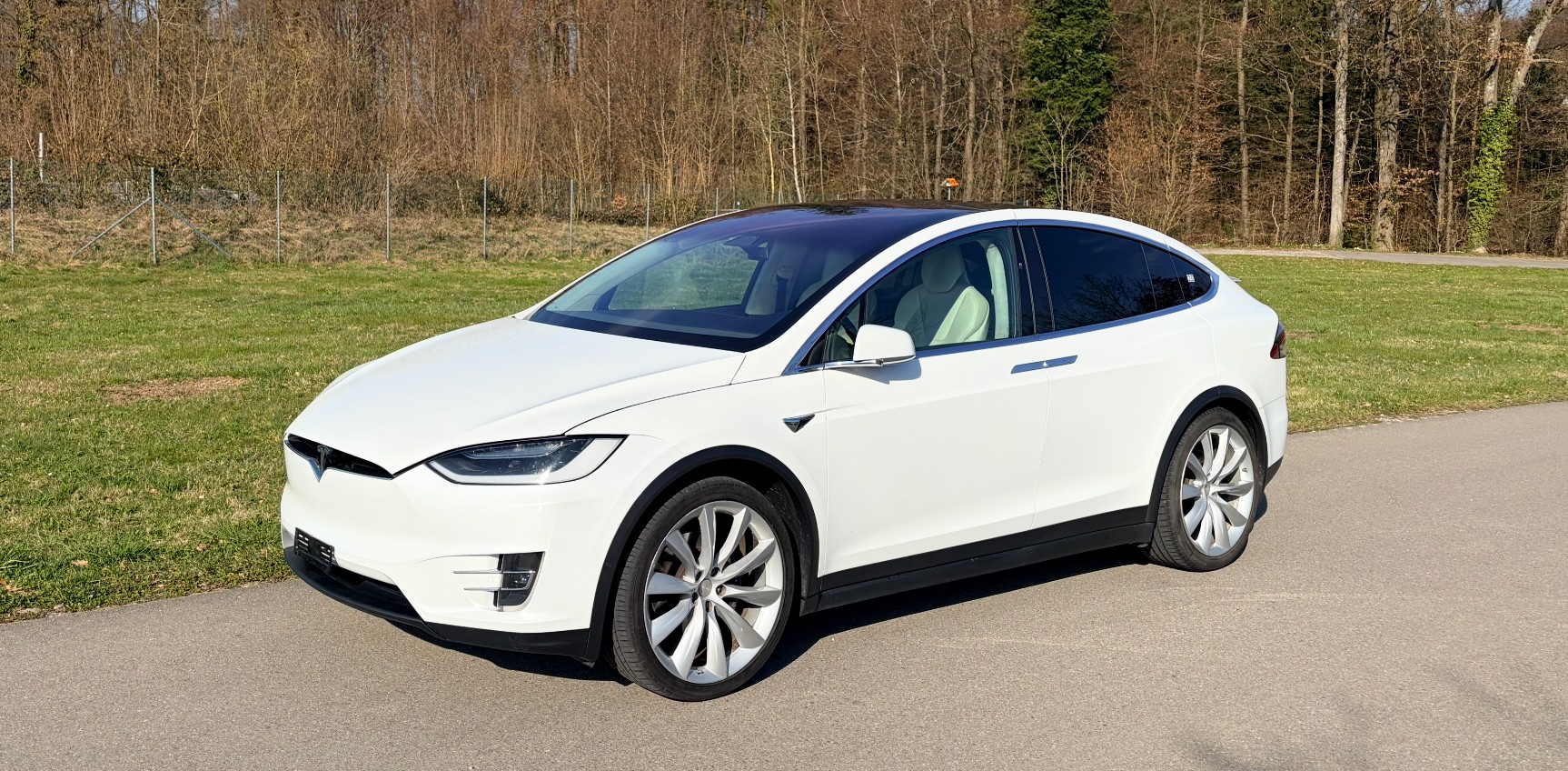 TESLA Model X 75 D