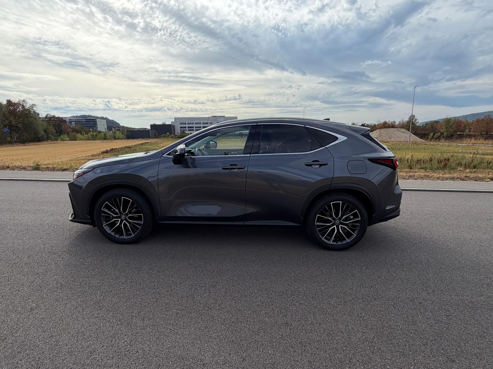 LEXUS NX 350h E-FOUR Excellence-image-7