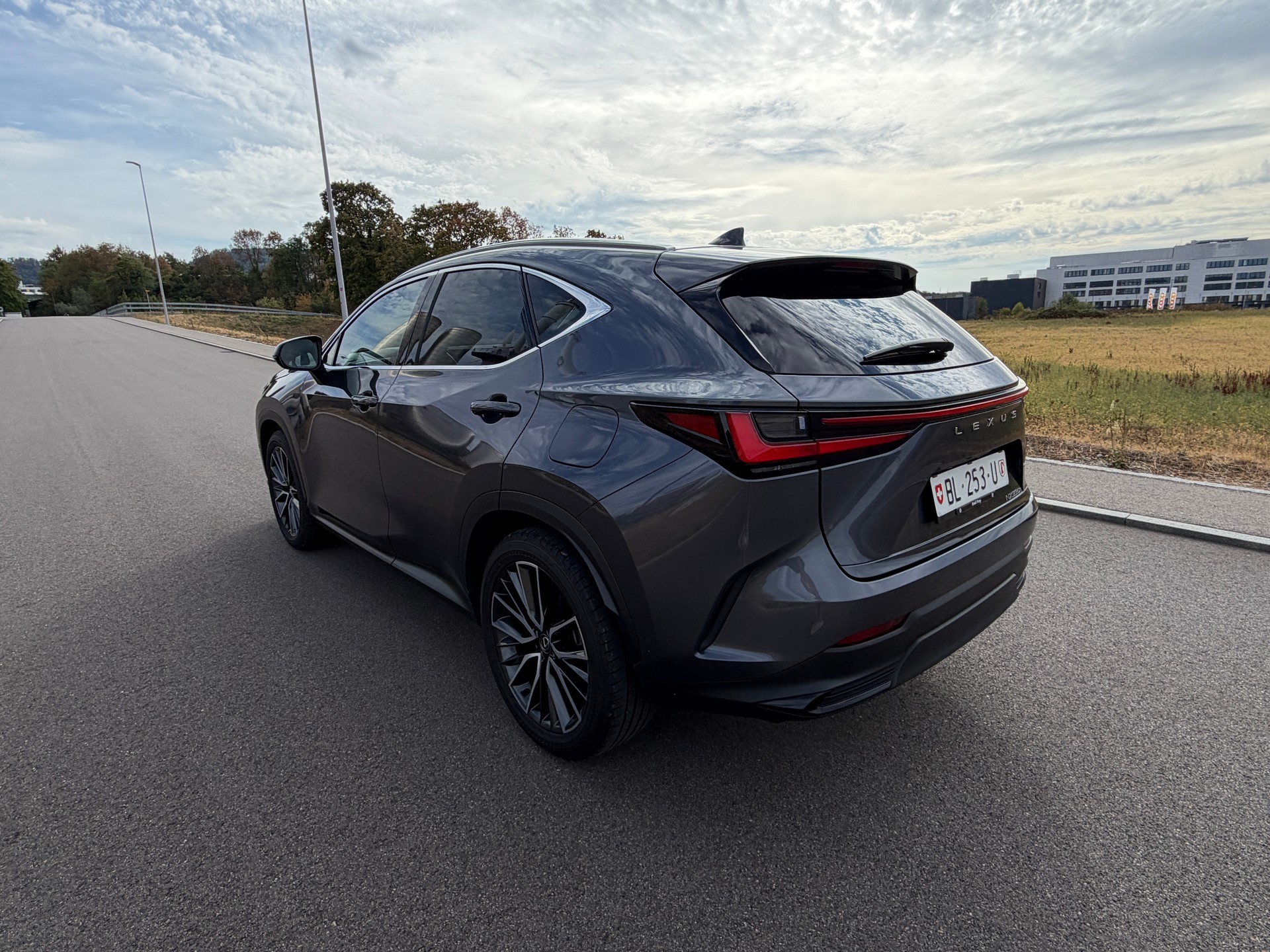 LEXUS NX 350h E-FOUR Excellence-image-9
