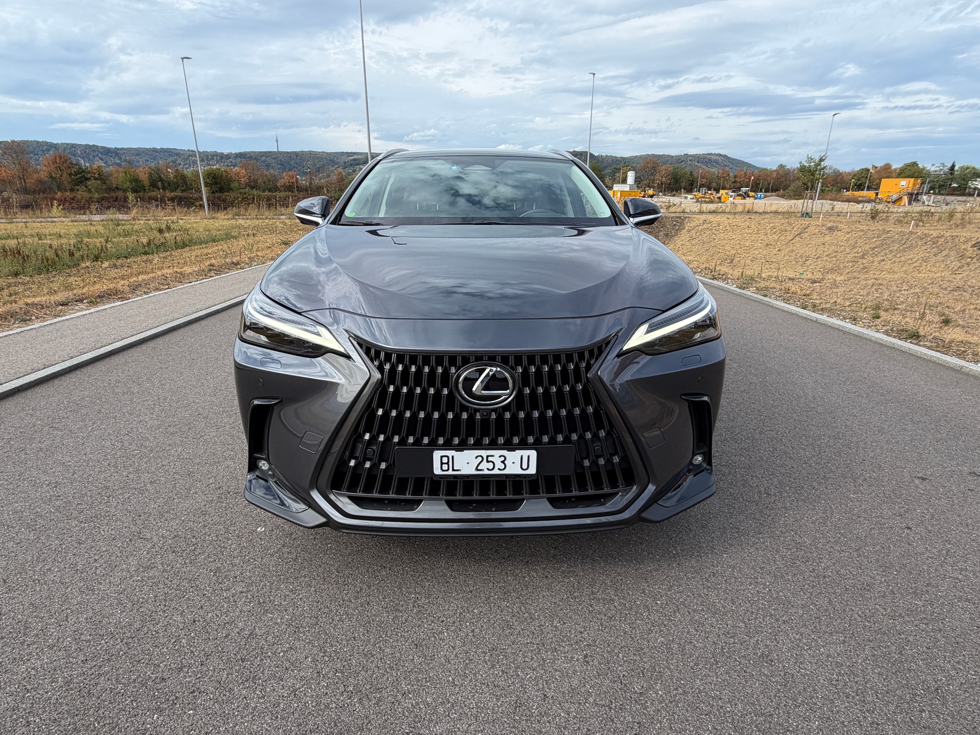 LEXUS NX 350h E-FOUR Excellence-image-4
