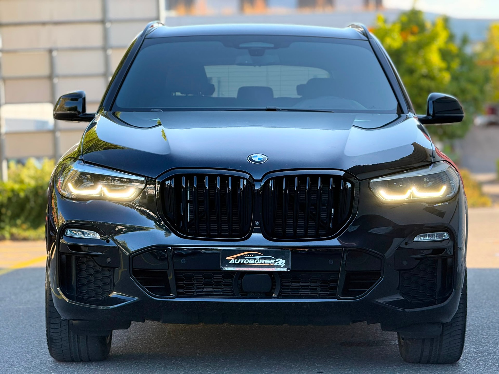 BMW X5 30d xDrive SAG-image-2