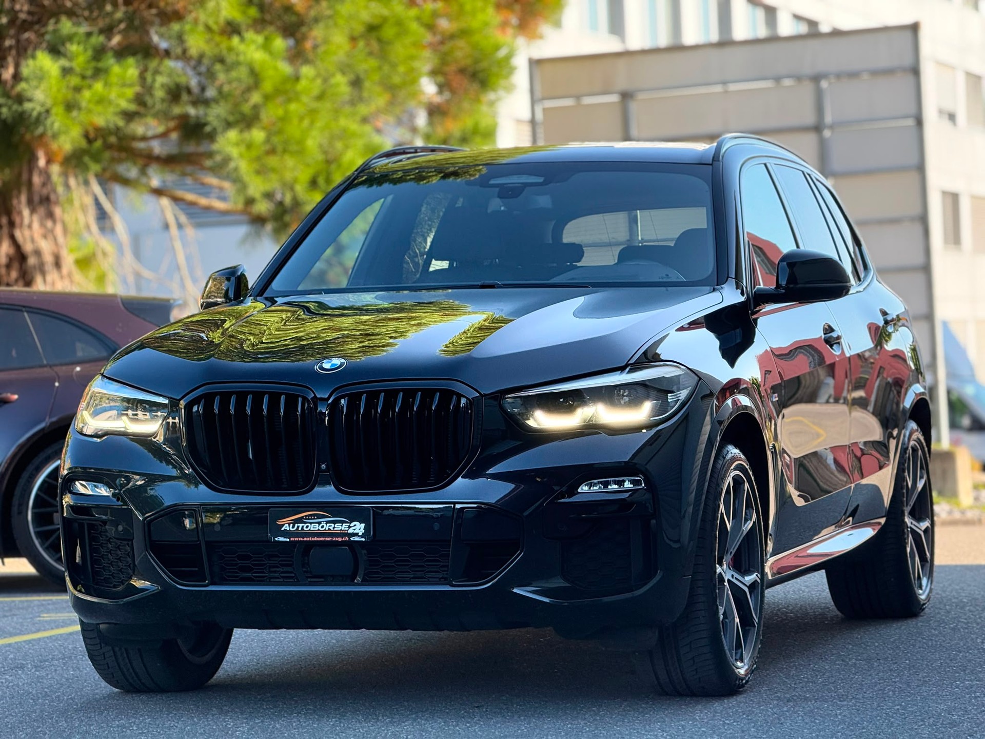BMW X5 30d xDrive SAG-image-0