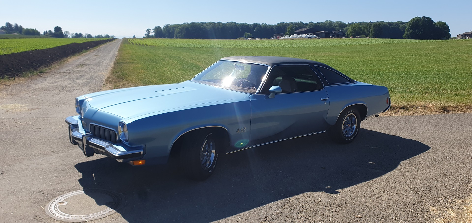 OLDSMOBILE Cutlass 442 big block 7.5 liter veteran fahrzeug-image-7