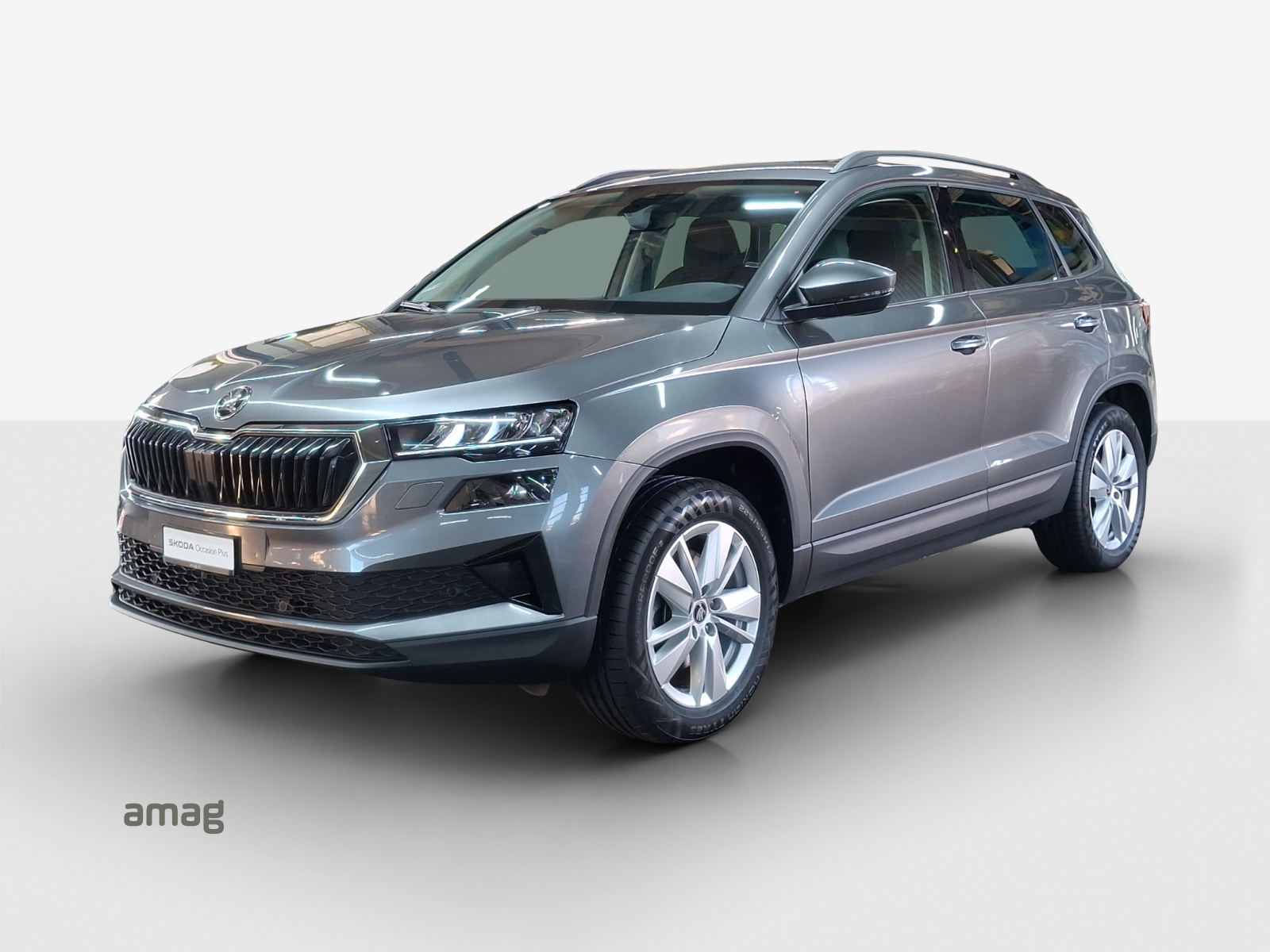 SKODA Karoq 2.0 TDI CR Selection 4x4 DSG-image-0