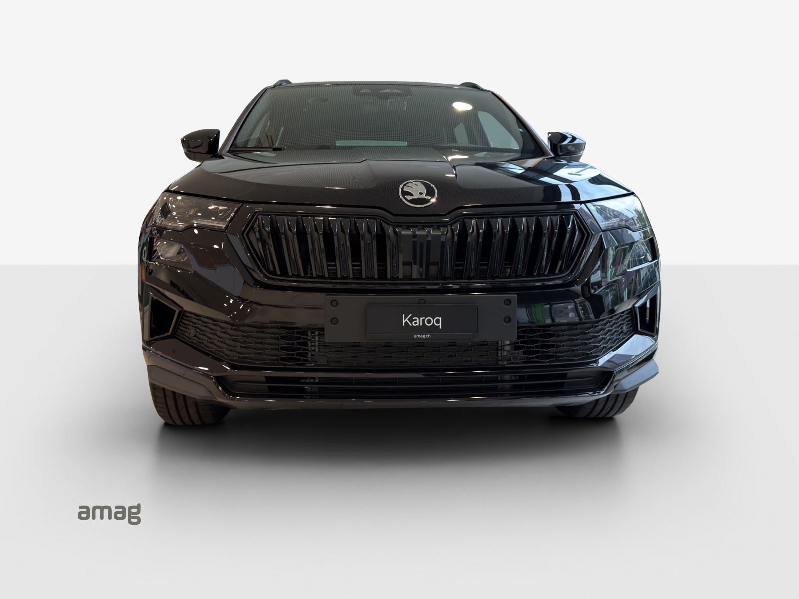 SKODA Karoq 2.0 TSI SportLine 4x4 DSG-showroom-element-3