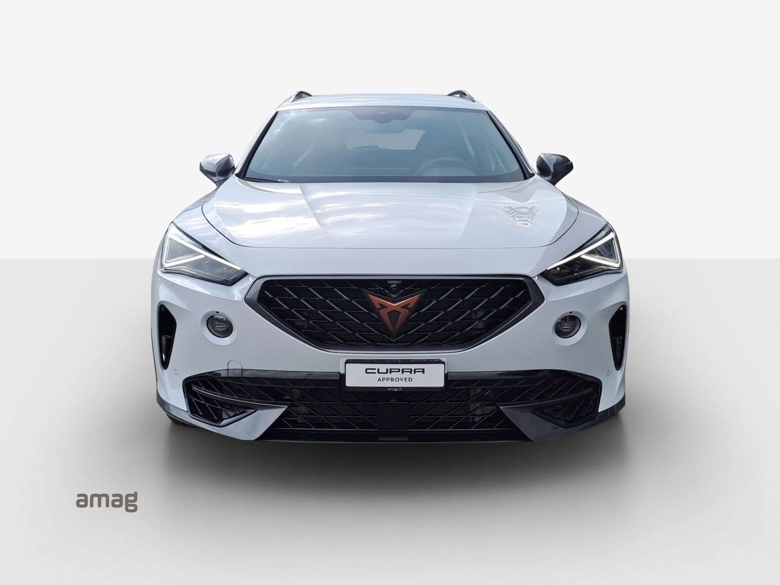 CUPRA Formentor 2.0TSI Tribe Edition 4Drive DSG-image-6