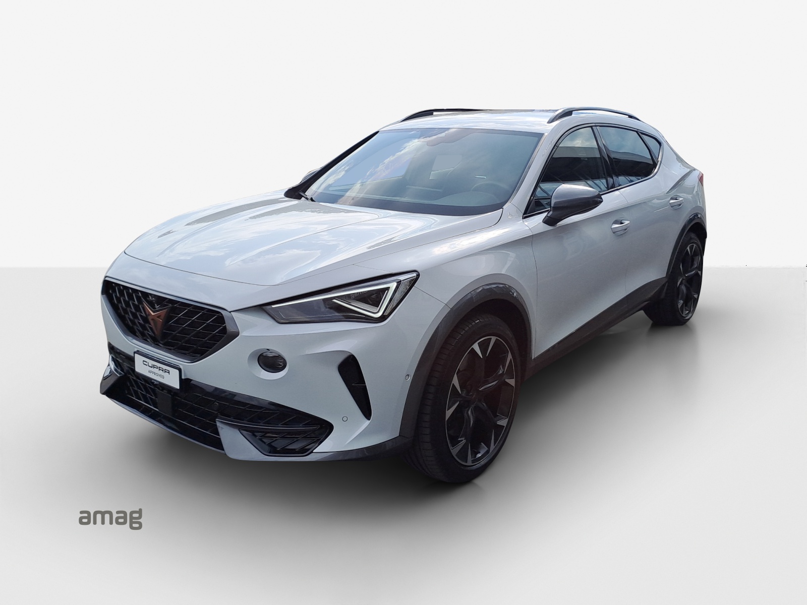 CUPRA Formentor 2.0TSI Tribe Edition 4Drive DSG-image-0