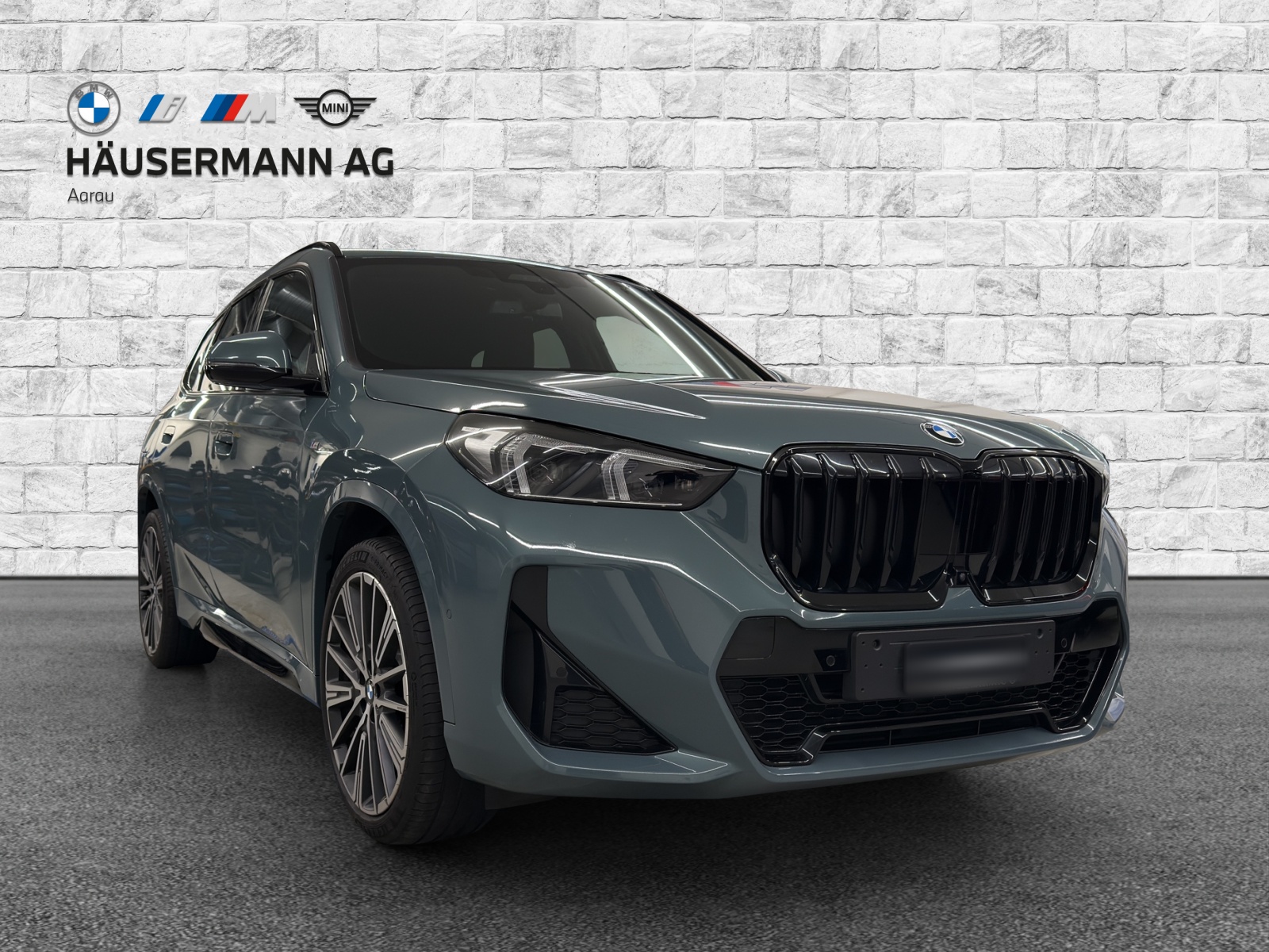 BMW X1 xDrive 23d 48V M Sport-image-2