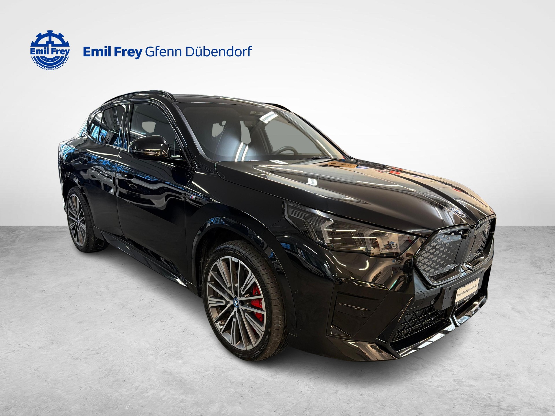 BMW iX2 30 xDrive30-image-2