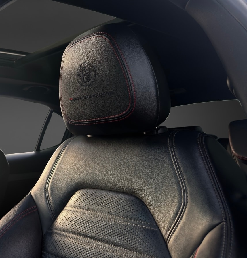 ALFA ROMEO Stelvio 2.0 Competizione Pack Sky Q4 AT8-image-14