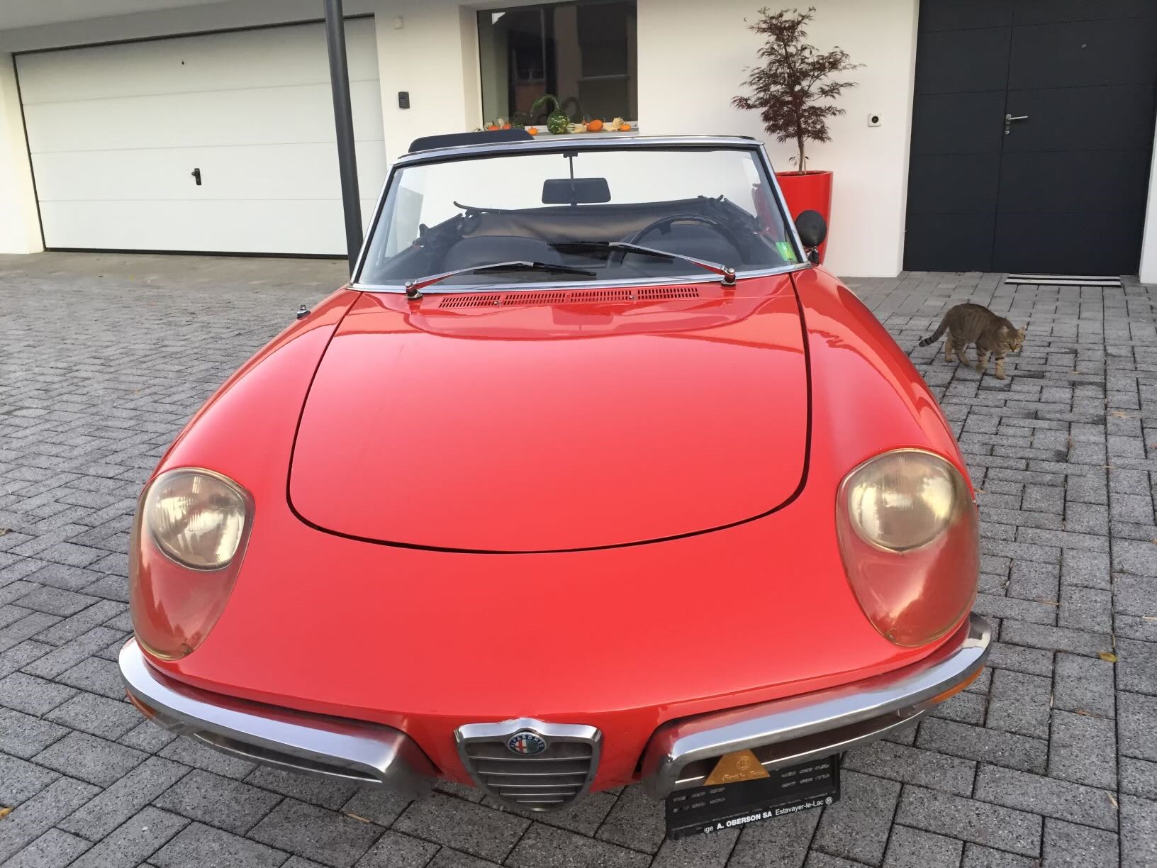 ALFA ROMEO SPIDER 1300 Junior-image-0