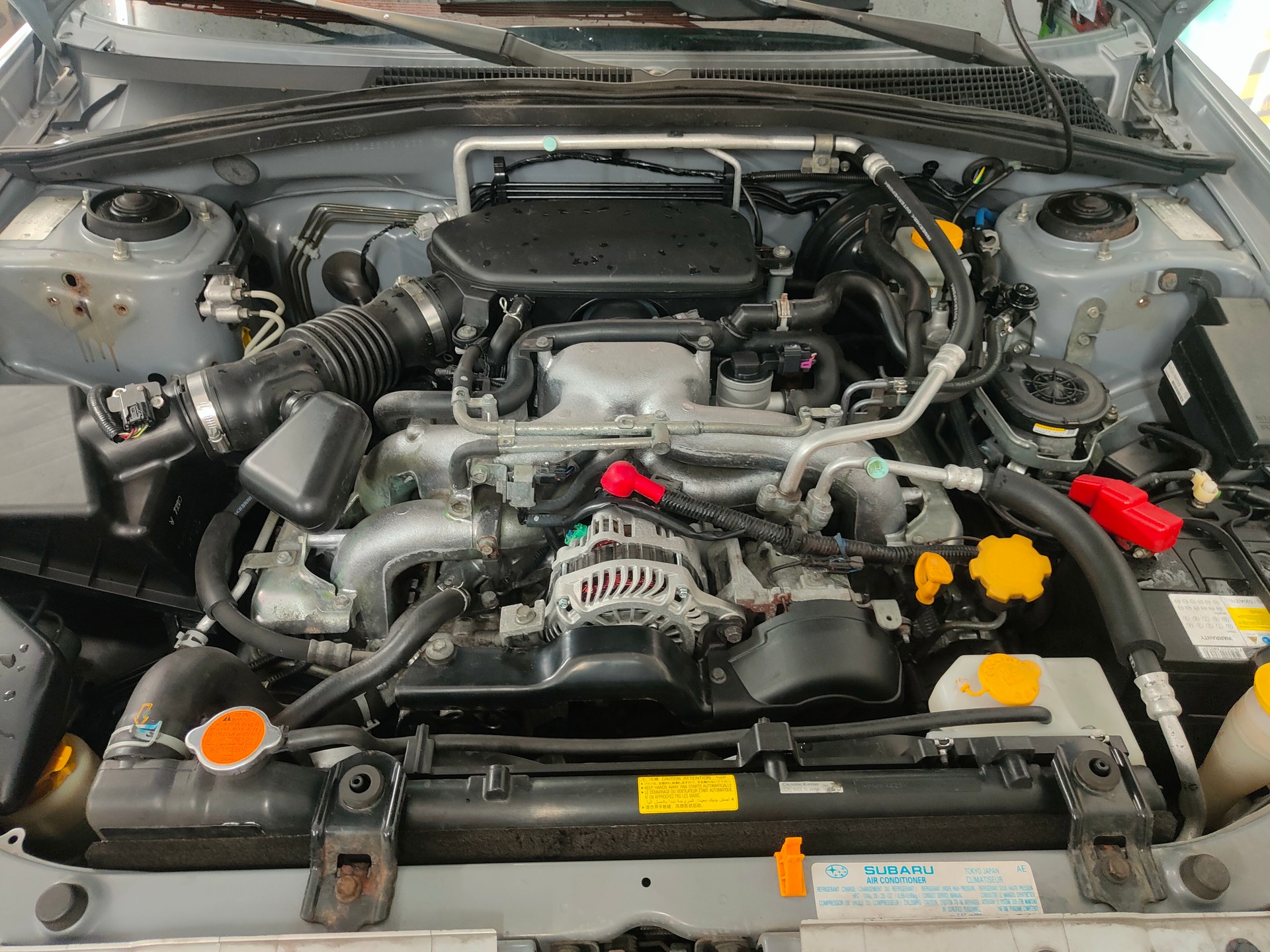SUBARU Forester 2.0X Limited (Club)-image-6