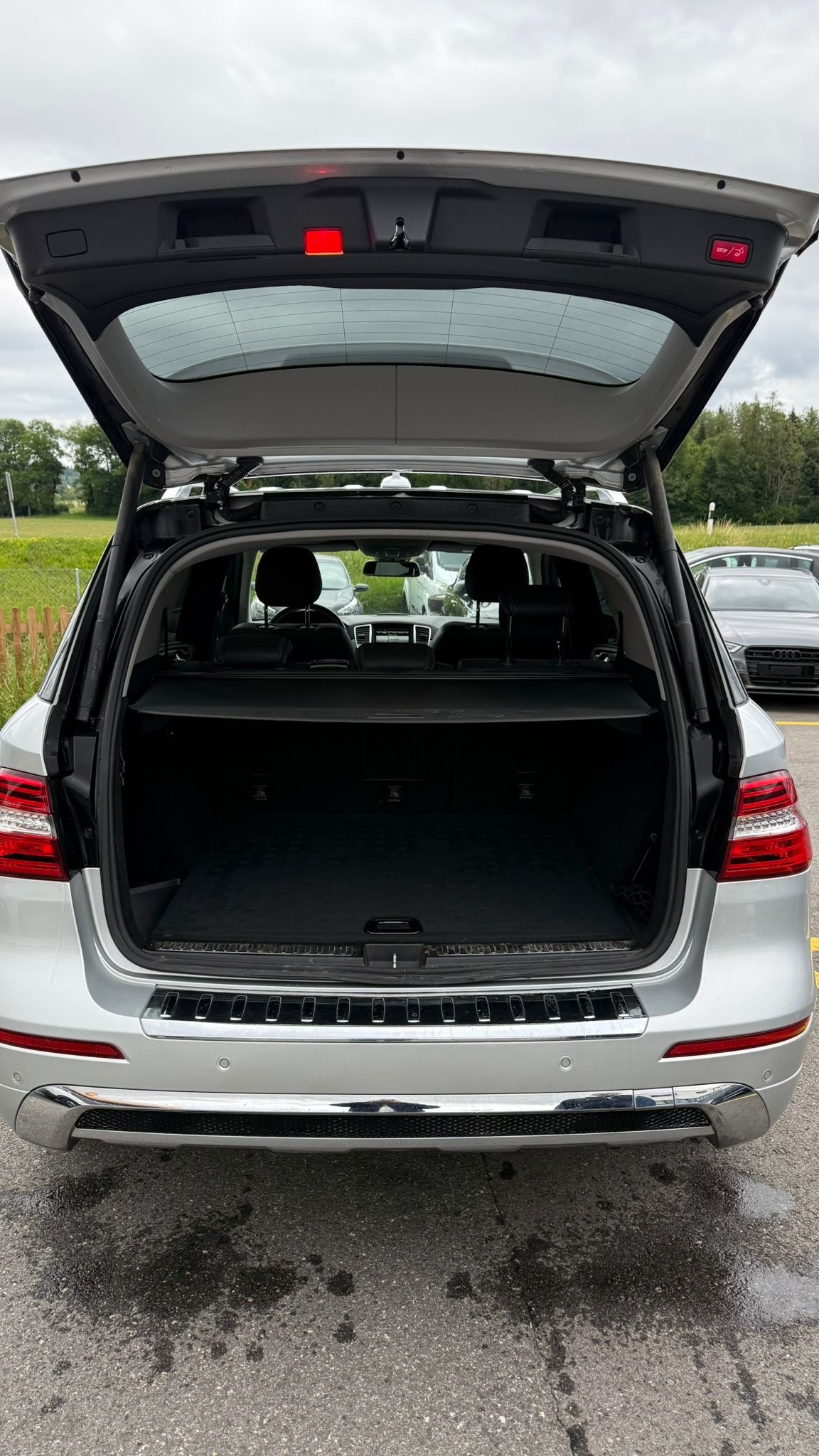 MERCEDES-BENZ ML 250 BlueTEC Executive 4Matic 7G-Tronic-image-6